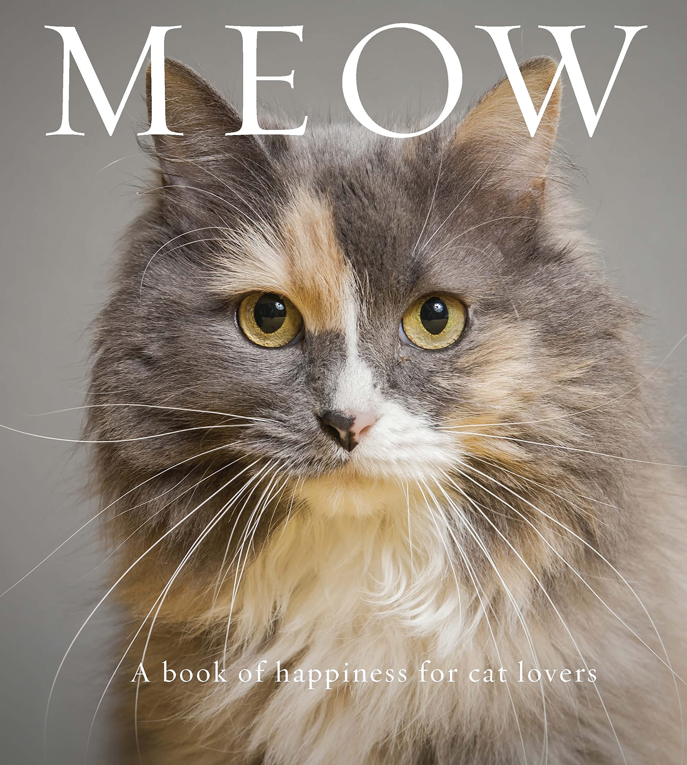 Meow: A Book of Happiness for Cat Lovers (Animal Happiness) Nature & Animals