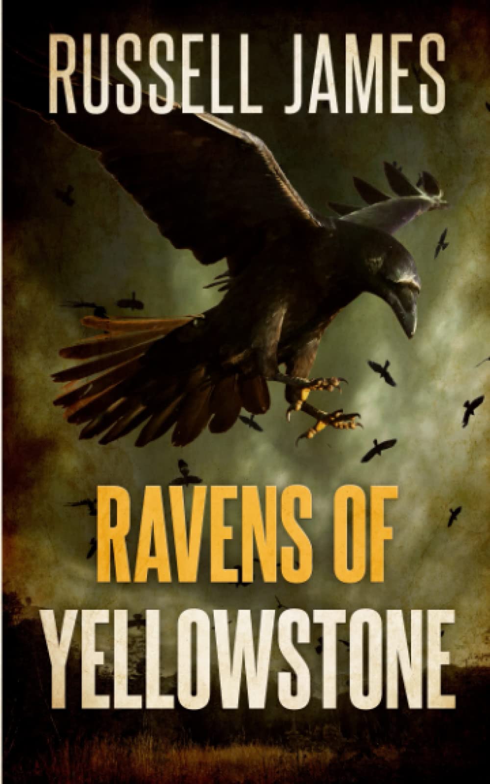 Ravens Of Yellowstone (A Kathy West National Park Adventure, Band 3) Action & Adventure