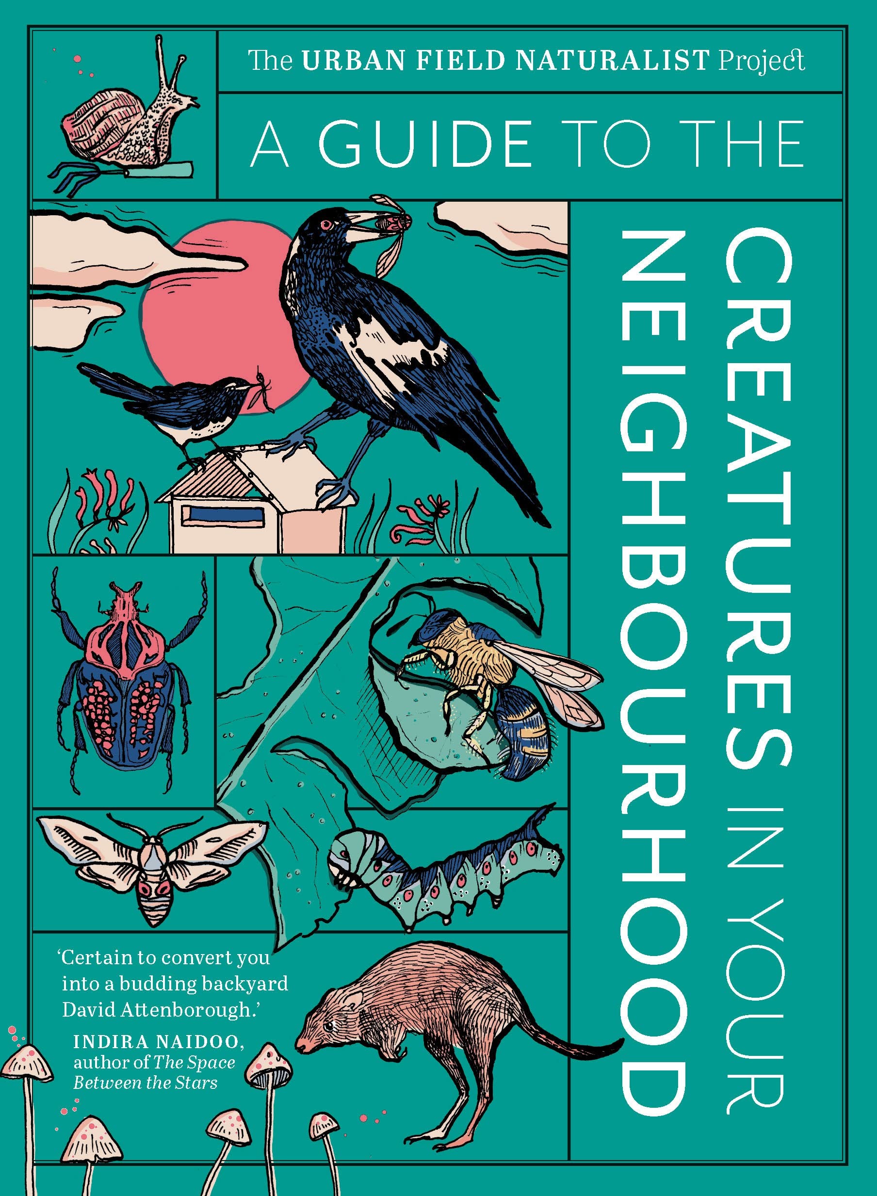 A Guide to the Creatures in Your Neighbourhood Books