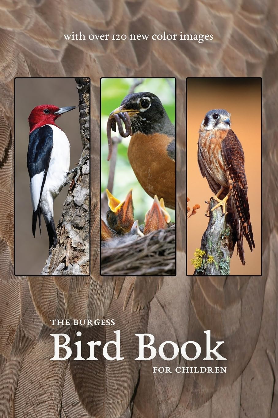 The Burgess Bird Book with new color images Mathematics