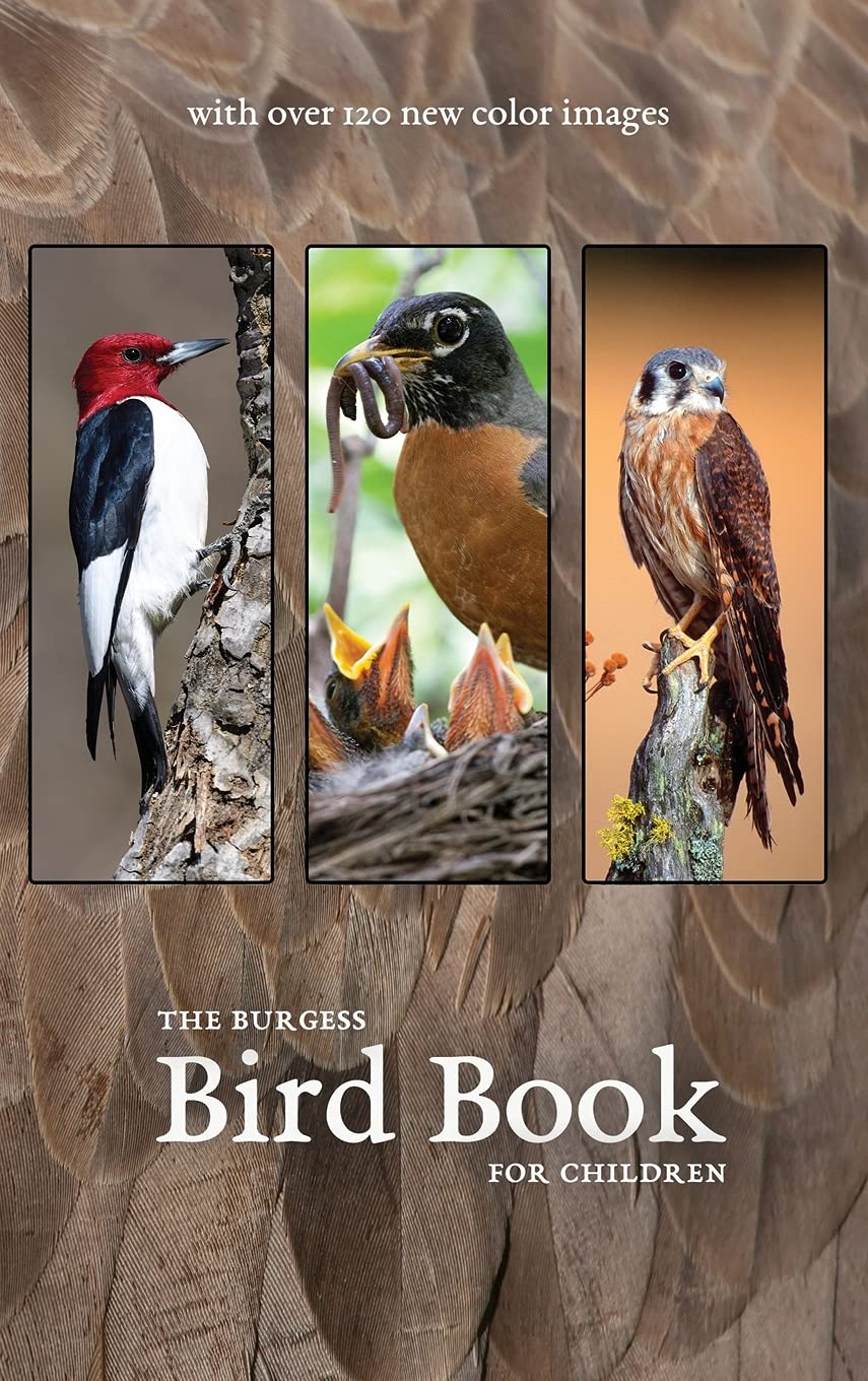The Burgess Bird Book with new color images Mathematics