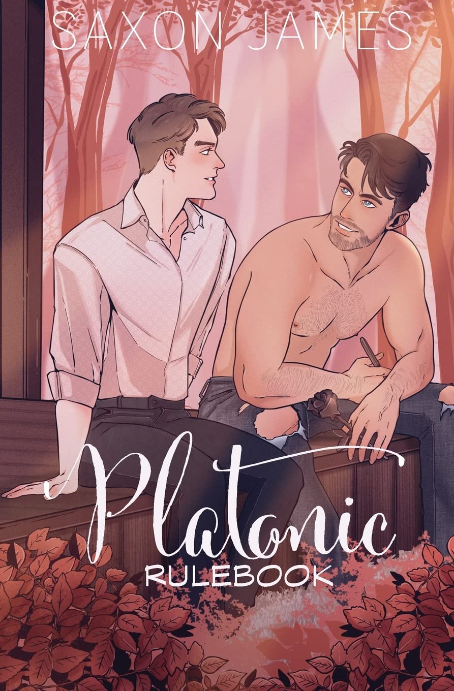 Platonic Rulebook (Divorced Men's Club, Band 2) Contemporary literature