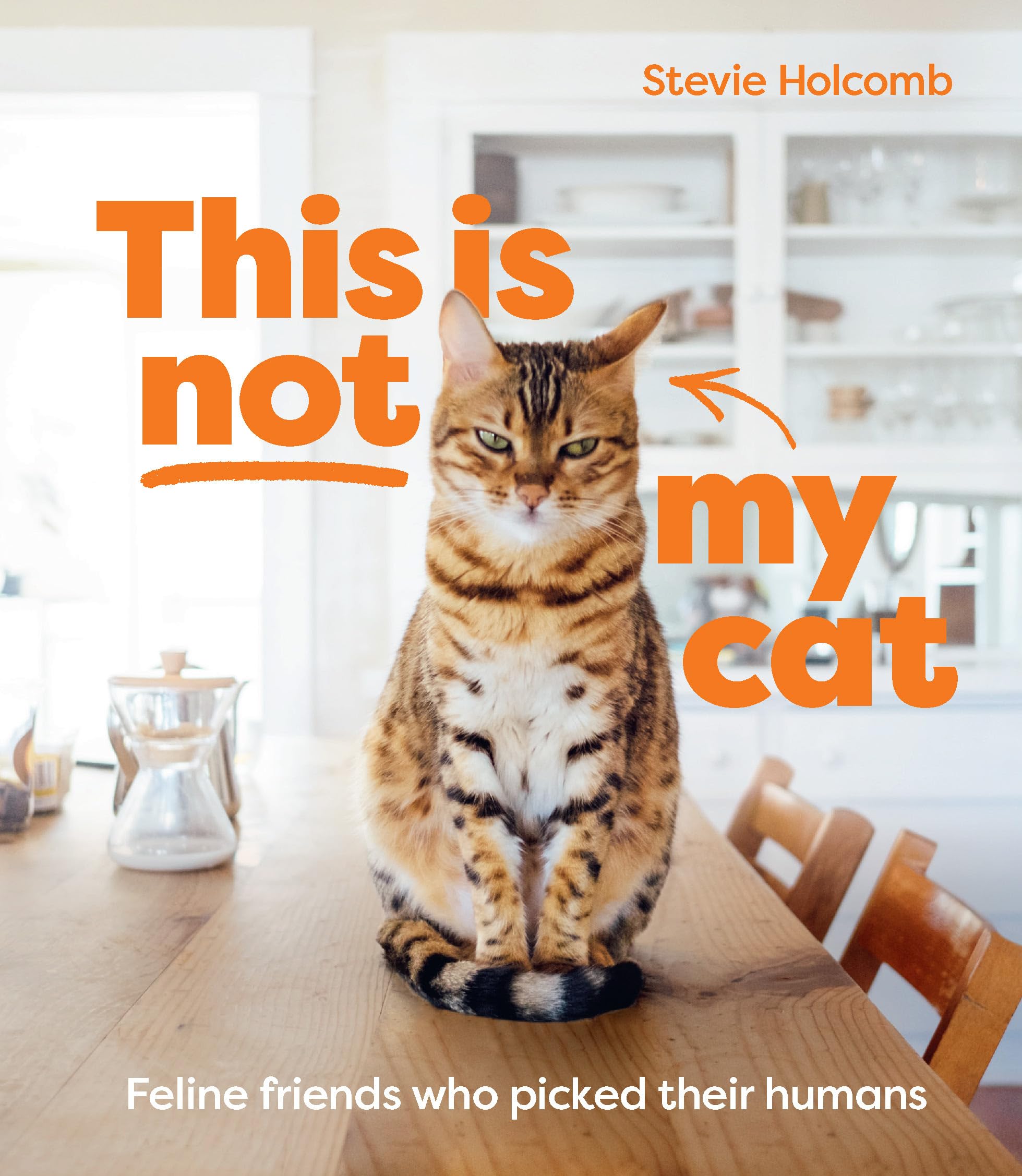 This Is Not My Cat: Feline Friends Who Picked Their Humans Film, Art & Culture