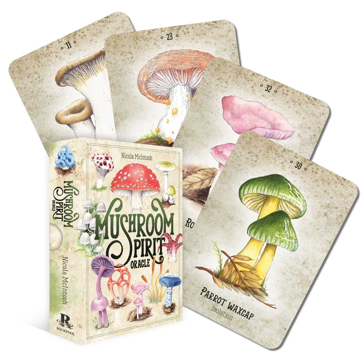 Mushroom Spirit Oracle: 36 Gilded Cards and 112-page Full-color Guidebook Mathematics