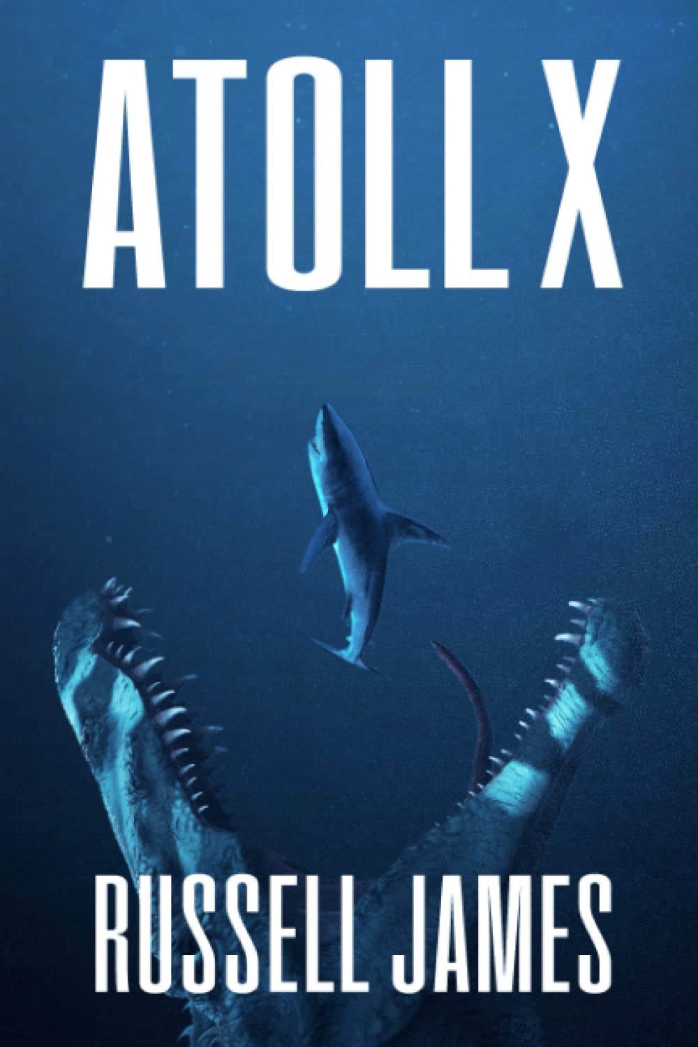 Atoll X (The Grant Coleman Adventures, Band 6) Action & Adventure