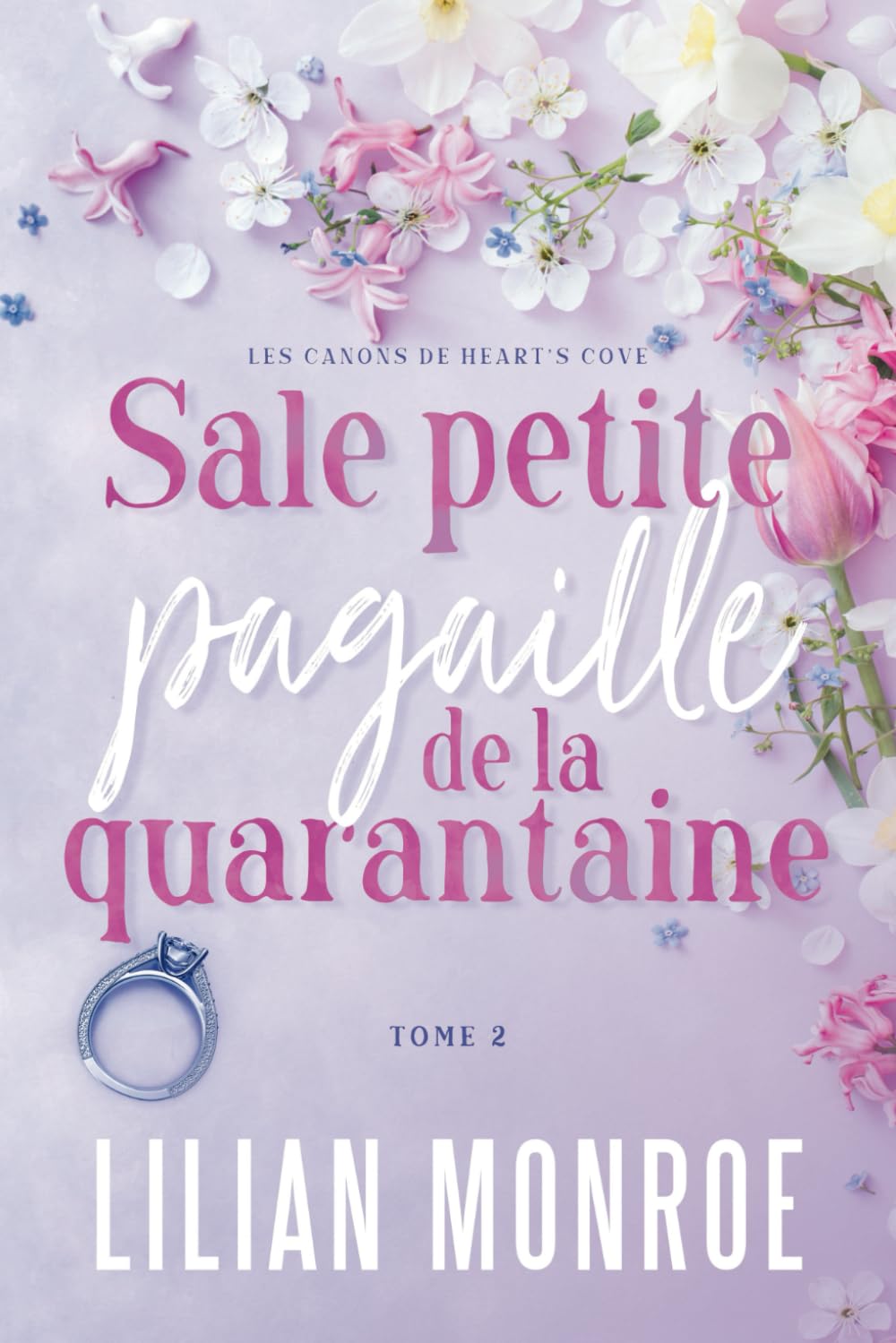 Sale petite pagaille de la quarantaine: Une comédie romantique de fausse relation (Les canons de Heart’s Cove, Band 2) Contemporary Romance