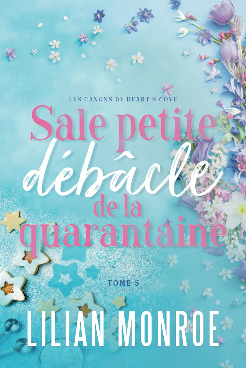 Sale petite débâcle de la quarantaine: Une comédie romantique à un âge plus avancé (Les canons de Heart’s Cove, Band 5) Contemporary Romance