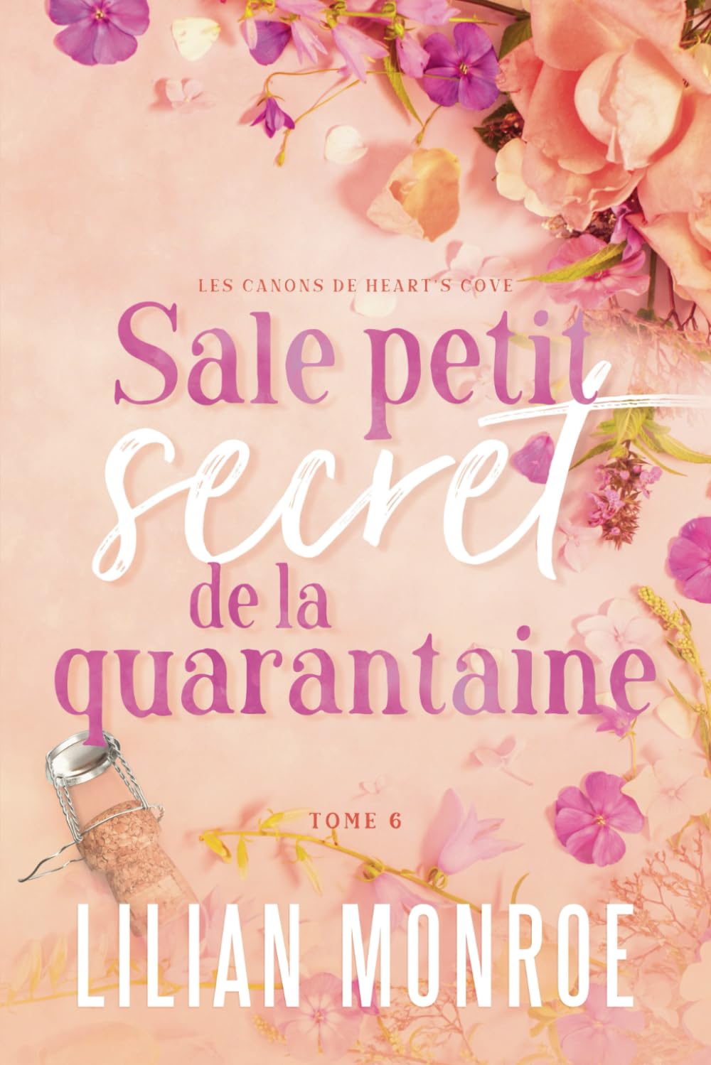 Sale petit secret de la quarantaine: Une comédie romantique à un âge plus avancé (Les canons de Heart’s Cove, Band 6) Contemporary Romance
