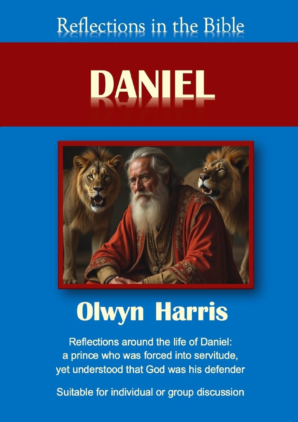 Product Image: Reflections in the Bible Daniel