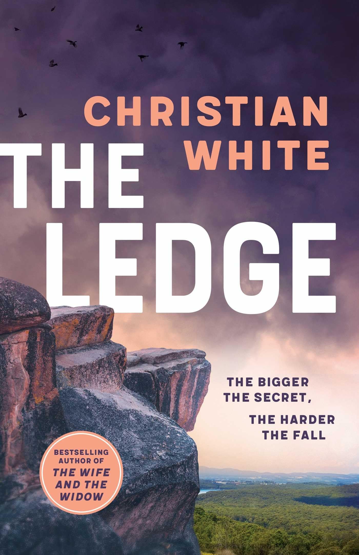 The Ledge Books