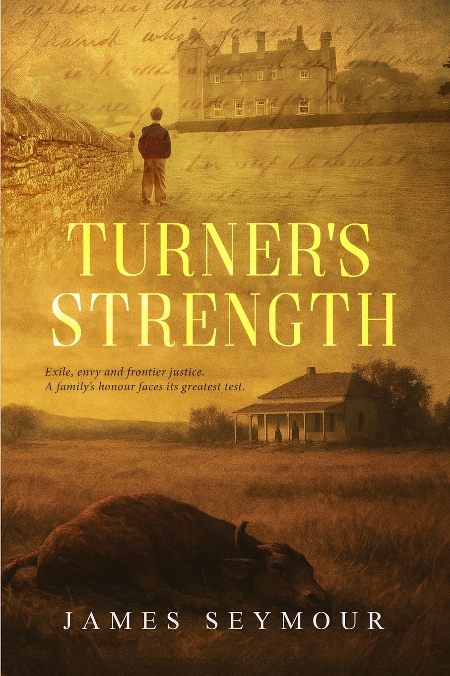 Product Image: Turner's Strength