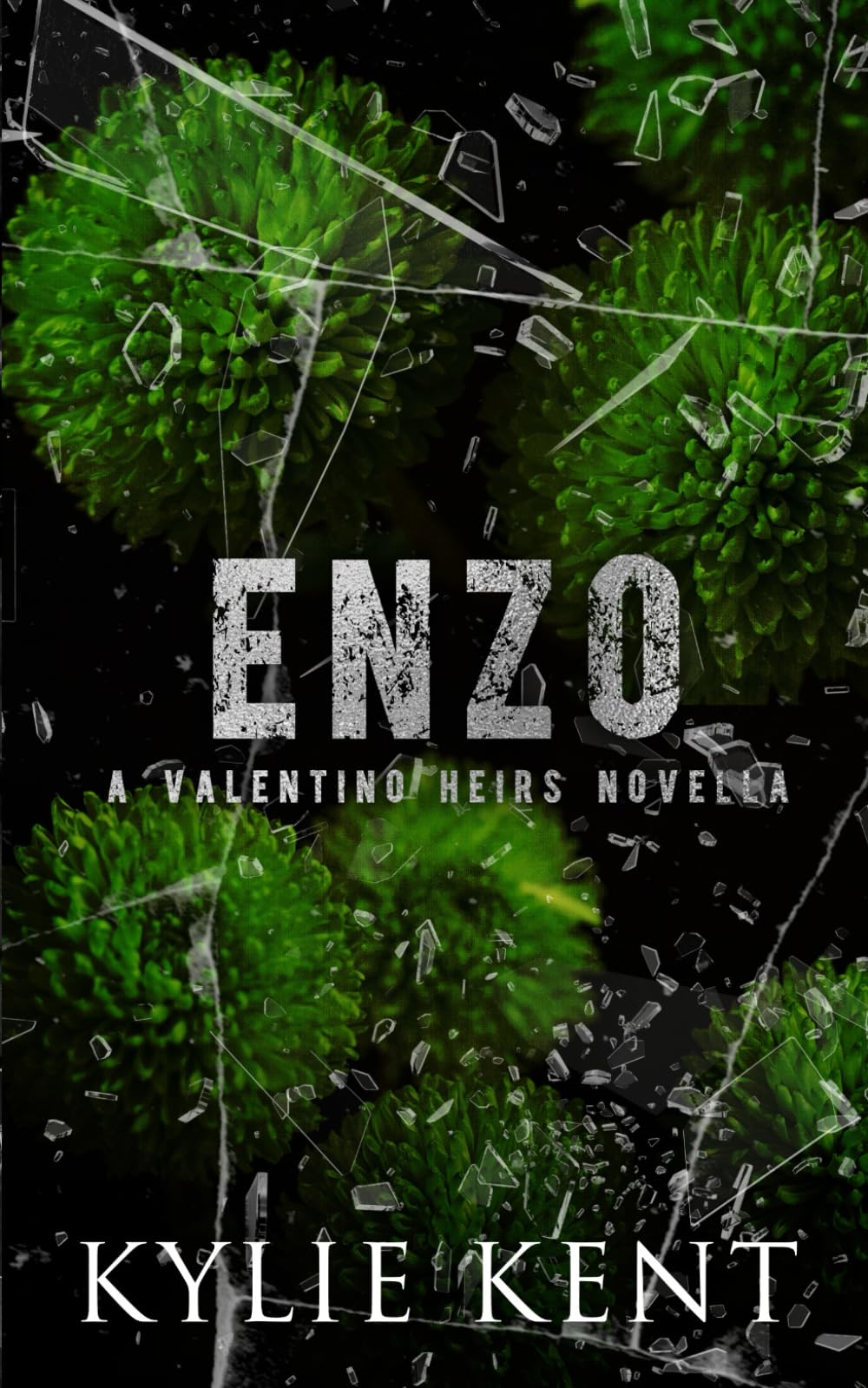 Enzo (Valentino Heirs, Band 5) Politics & History