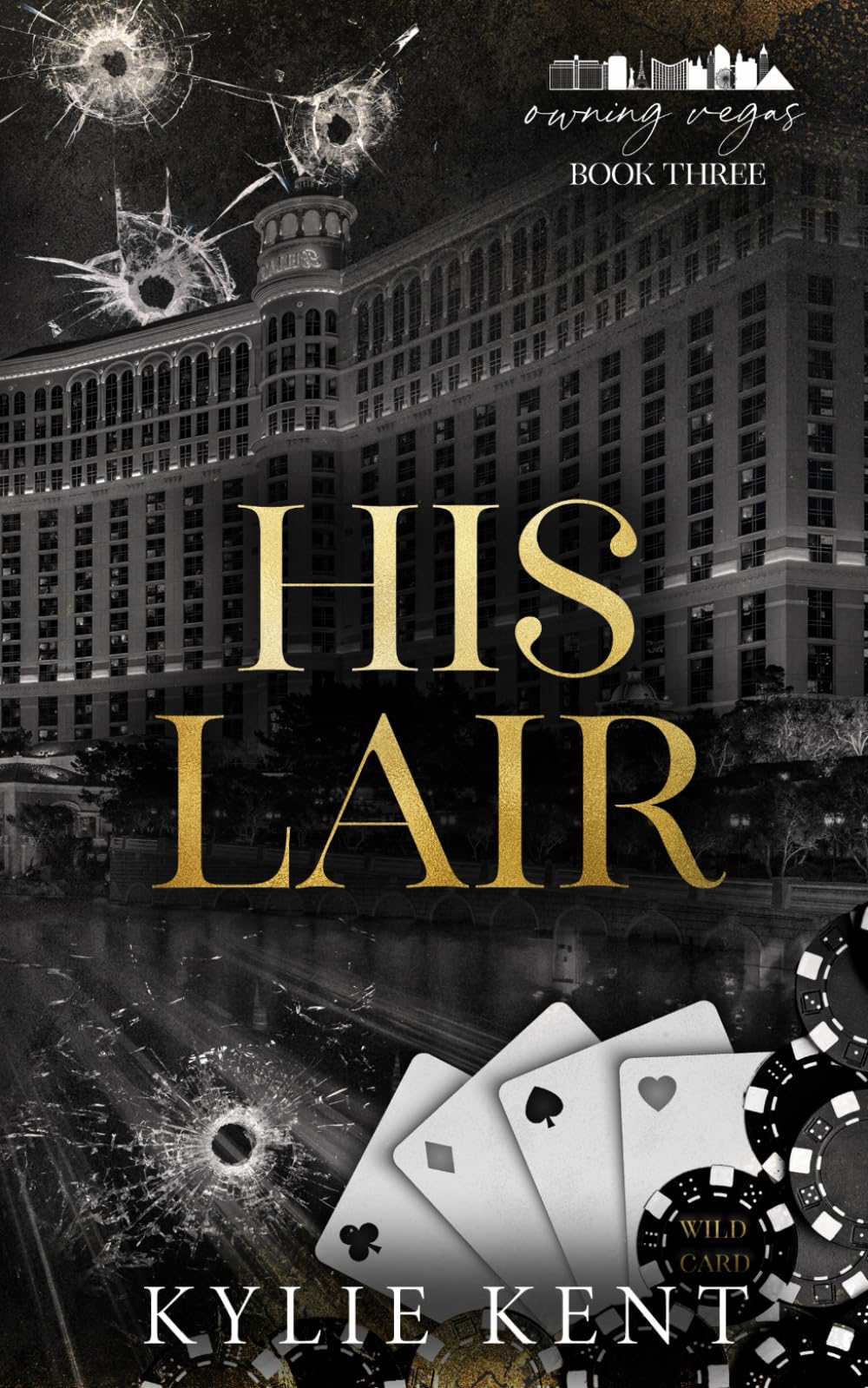 His Lair (Owning Vegas, Band 3) Politics & History