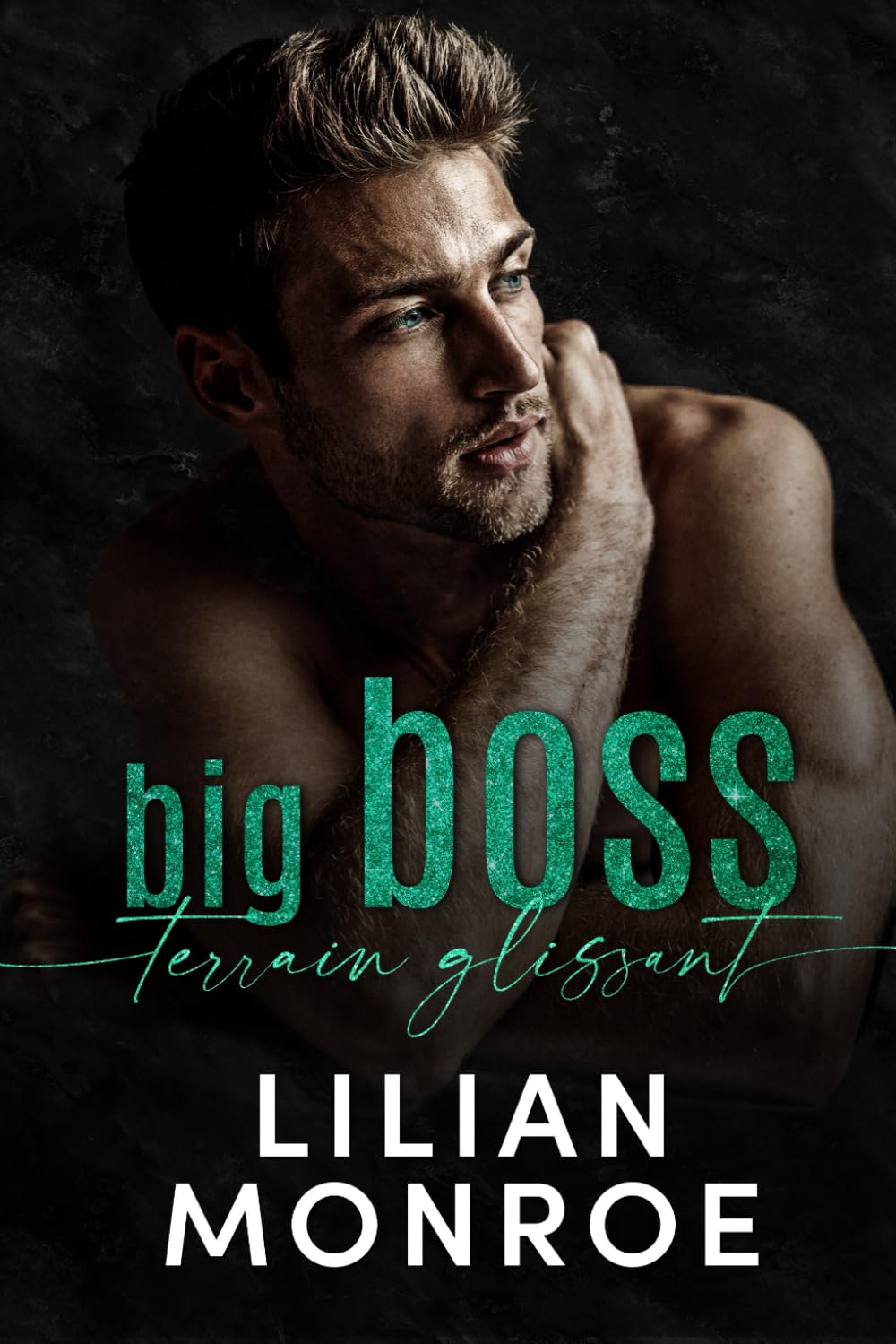 Big Boss: terrain glissant (Les milliardaires de Manhattan, Band 1) Action & Adventure