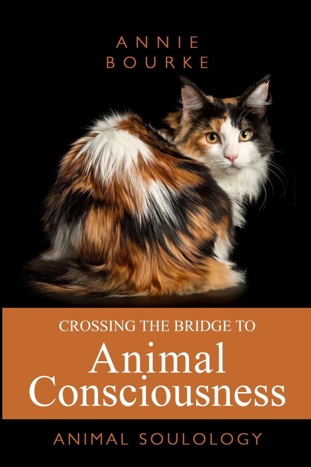 Crossing the Bridge to Animal Consciousness Pets