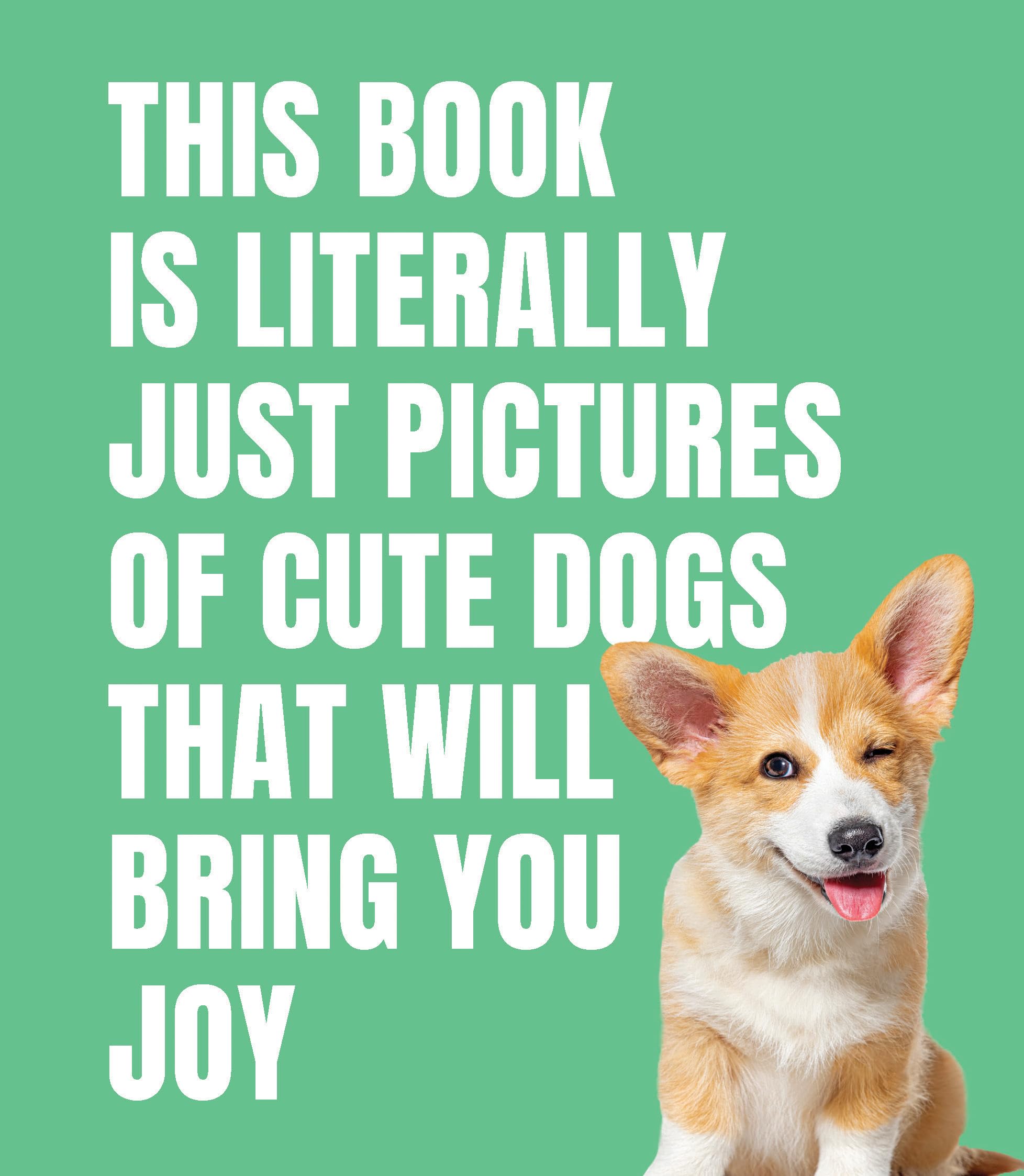 This Book is Literally Just Cute Dogs That Will Bring You Joy Nature & Animals