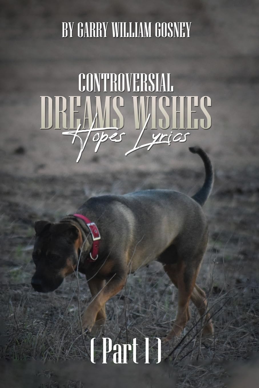 CONTROVERSIAL DREAMS WISHES HOPES LYRICS Part 1 Poetry