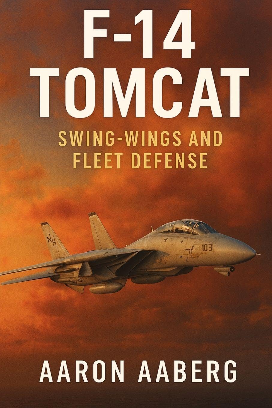 Product Image: F-14 Tomcat