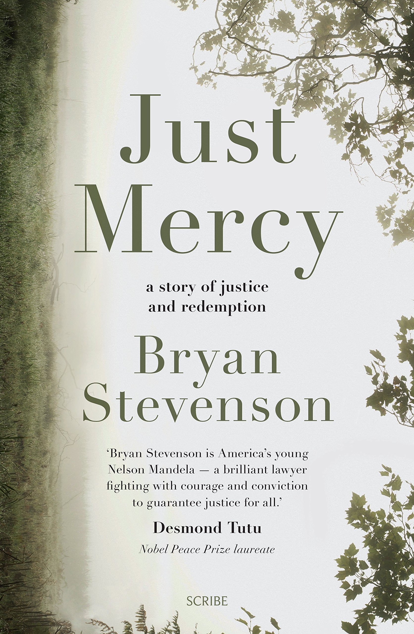 Just Mercy: A story of justice and redemption. Winner of the Dayton Literary Peace Prize for Nonfiction 2015 Law