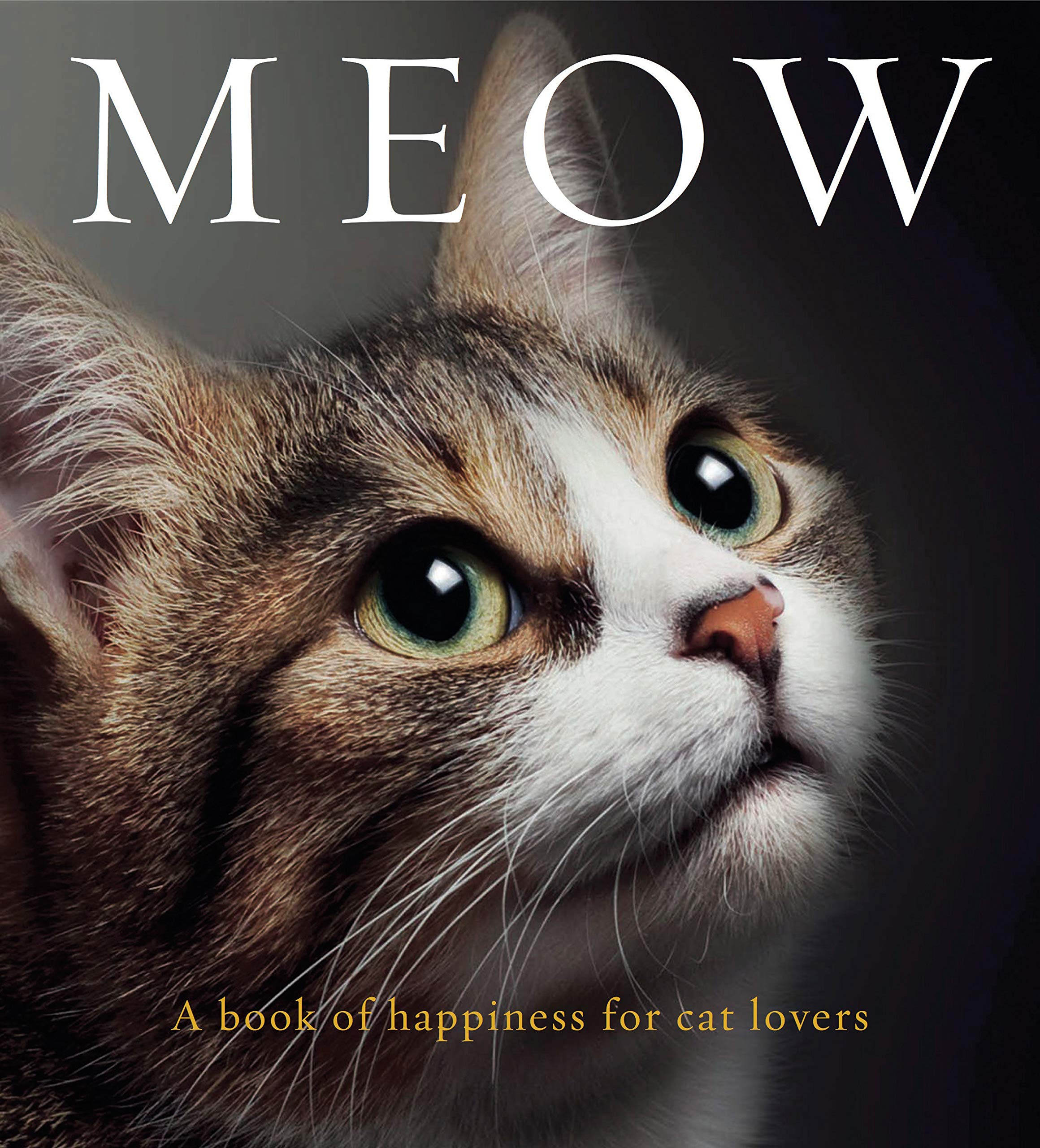 Meow: A Book of Happiness for Cat Lovers book