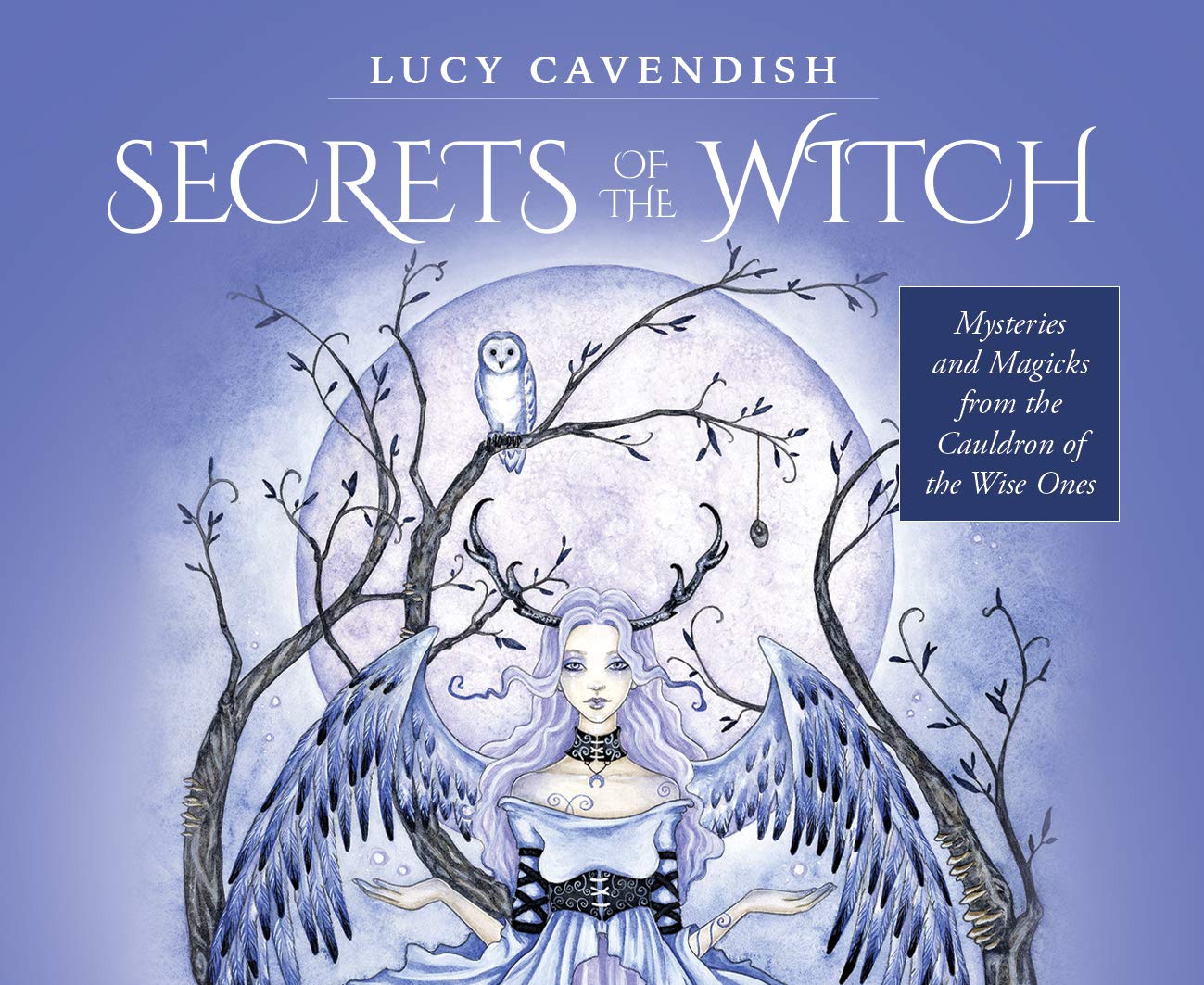 Secrets of the Witch - Mini Oracle Cards: Mysteries and Magicks from the Cauldron of the Wise Ones Religion & Esotericism