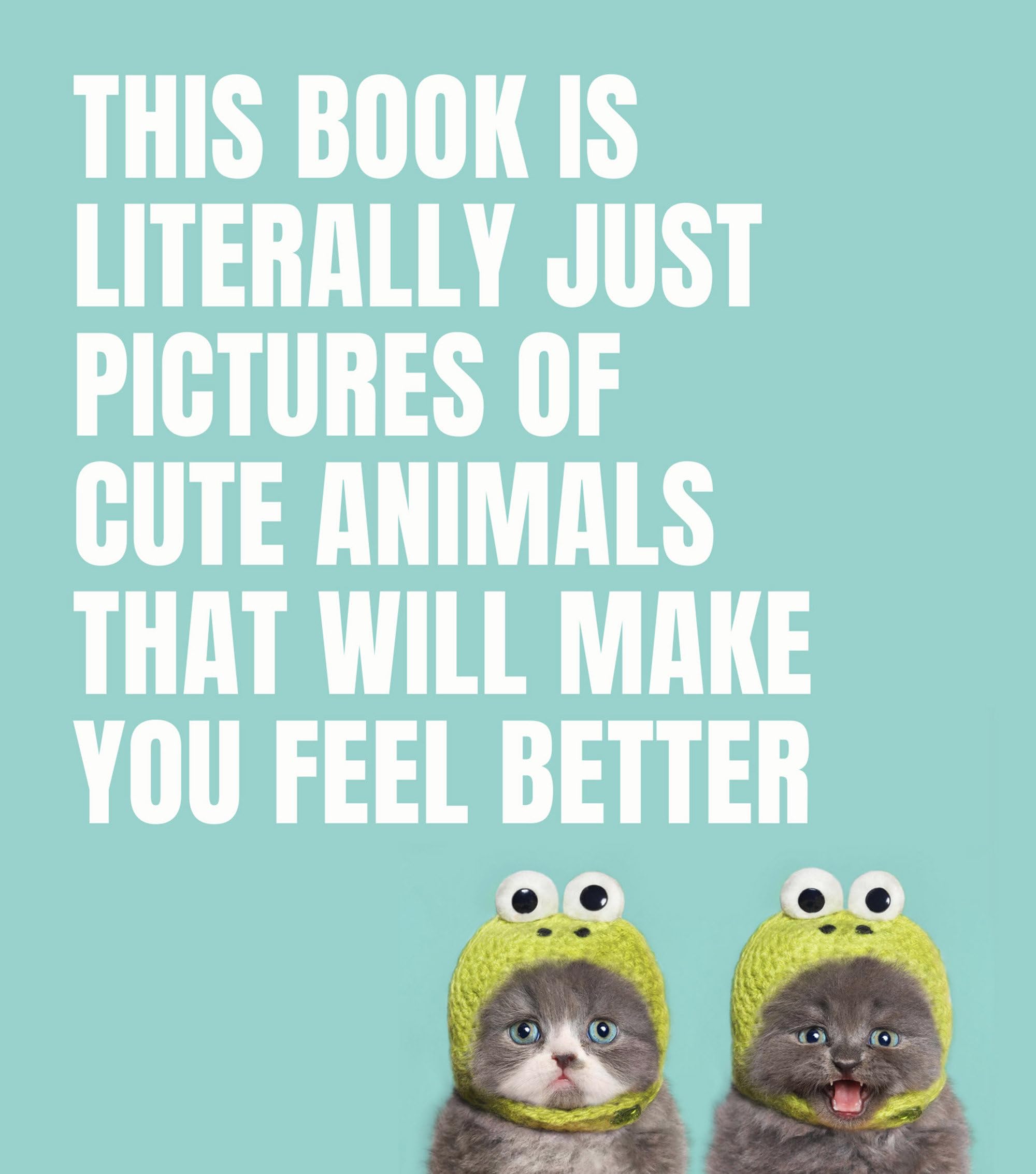 This Book Is Literally Just Pictures of Cute Animals That Will Make You Feel Better Travel