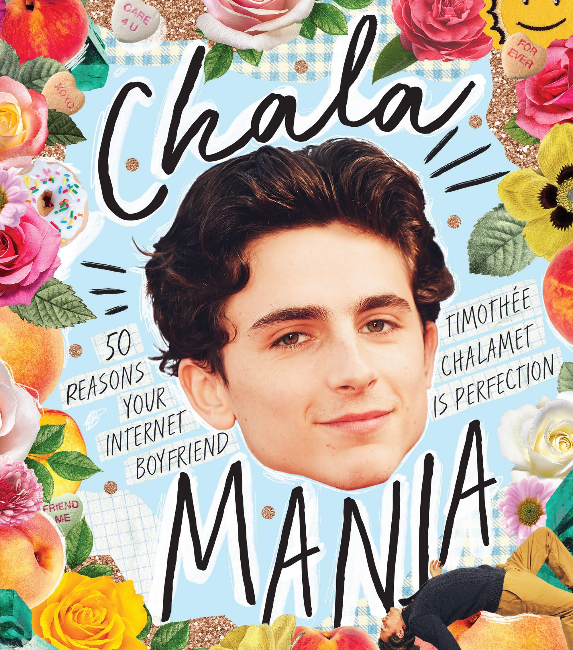 Chalamania: 50 Reasons Your Internet Boyfriend Timothée Chalamet Is Perfection Law
