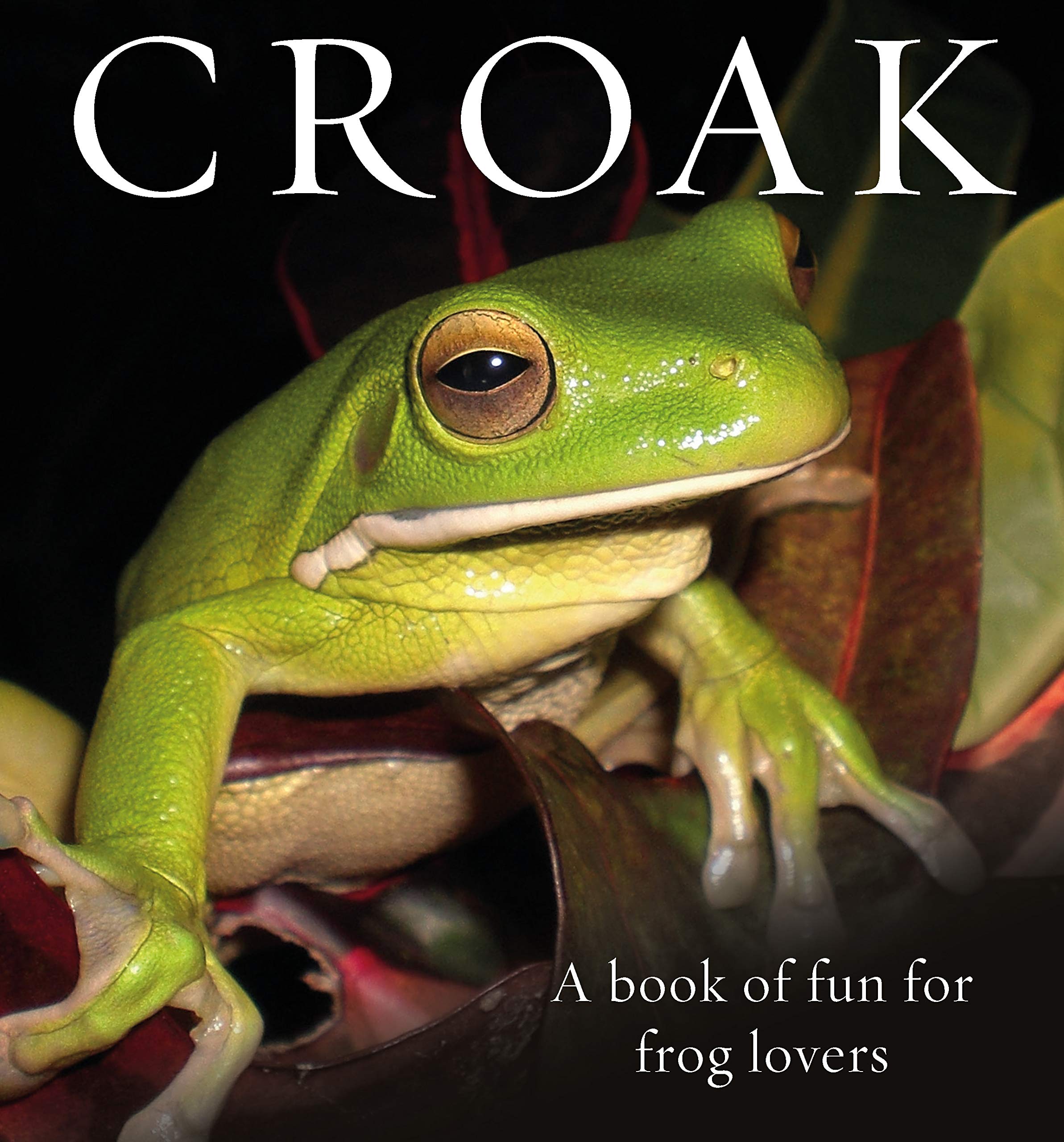 Croak: A Book of Fun for Frog Lovers (Animal Happiness, Band 7) Mathematics