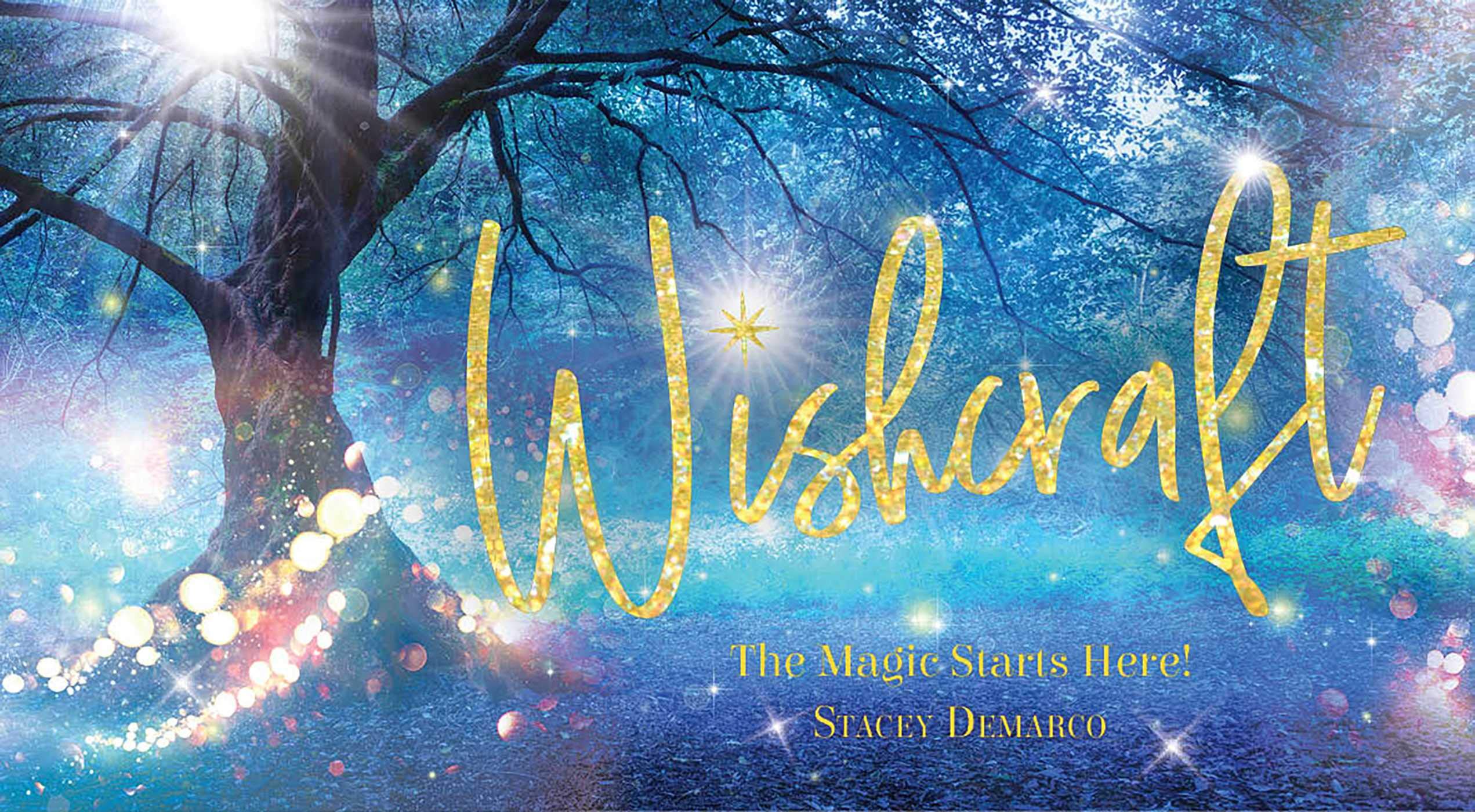 Wishcraft: You are the magic (Rockpool Mini Cards) Business, Finance & Career