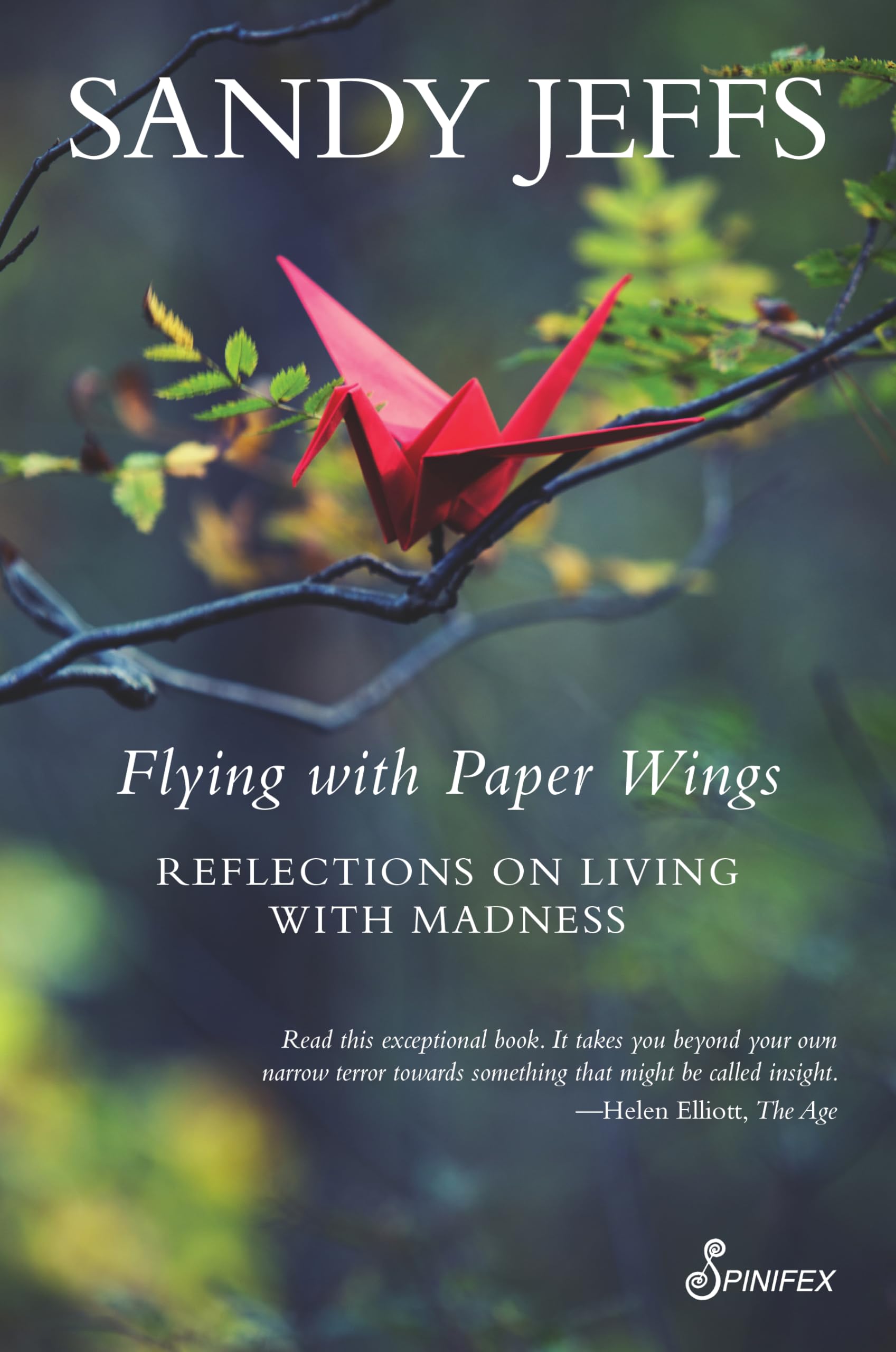 Flying With Paper Wings: Reflections on Living With Madness Politics & Society