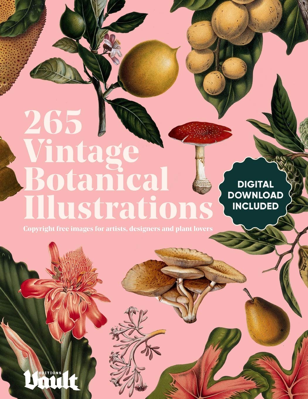 Vintage Botanical Illustration Architecture Books
