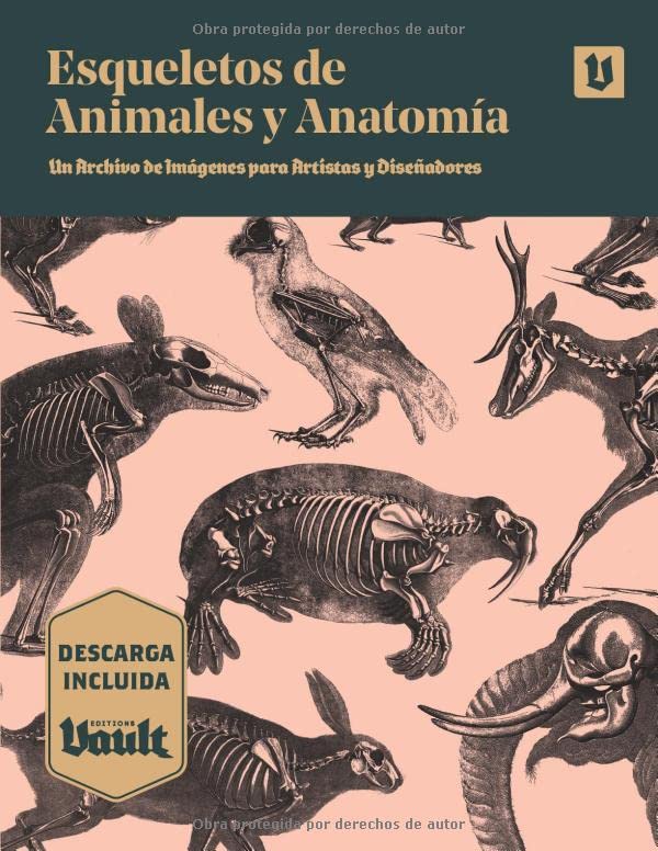 Esqueletos de Animales y Anatomía: Un Archivo de Imágenes para Artistas y Diseñadores Film, Art & Culture