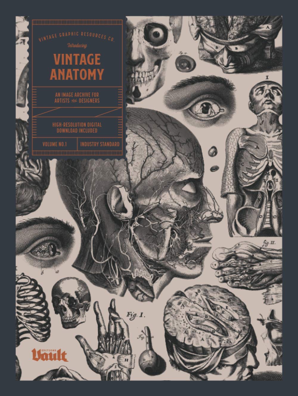 Vintage Anatomy: An Image Archive for Artists and Designers Film, Art & Culture
