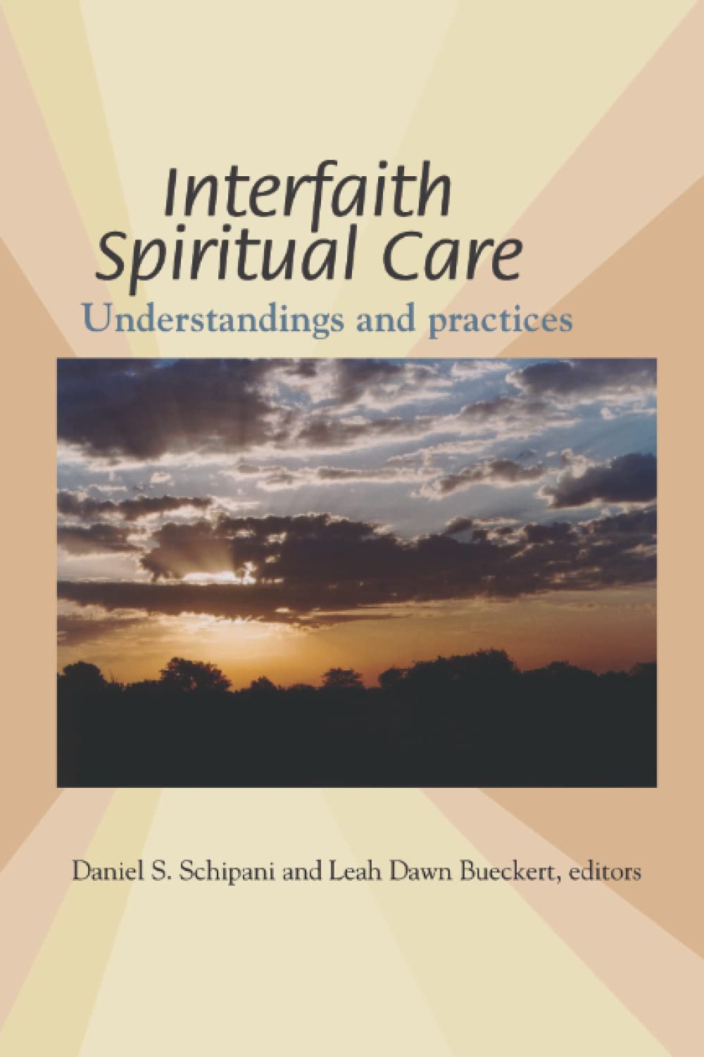 Interfaith Spiritual Care: Understandings and Practices Religion & Esotericism