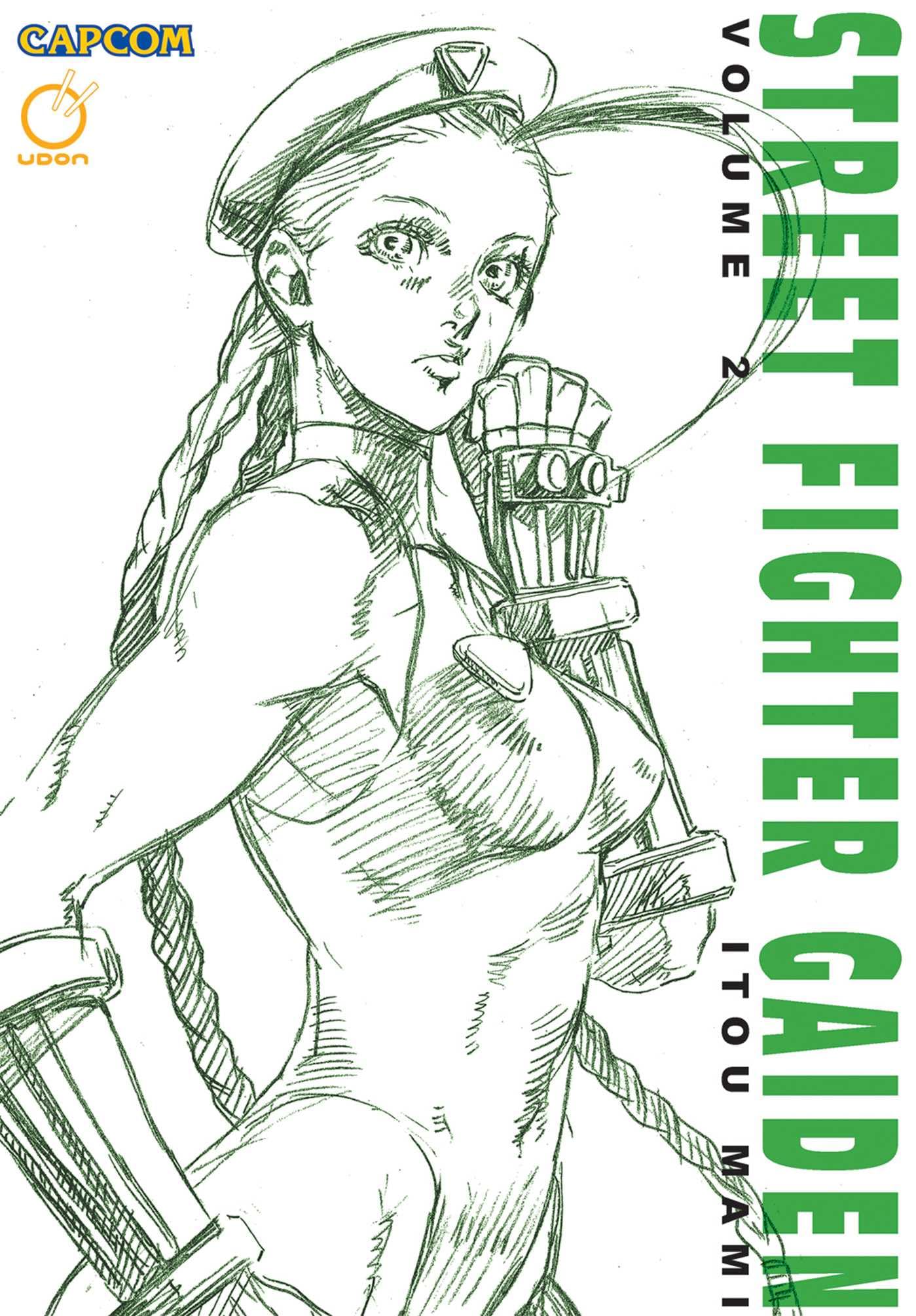Street Fighter Gaiden Volume 2 (STREET FIGHTER GAIDEN TP) Manga