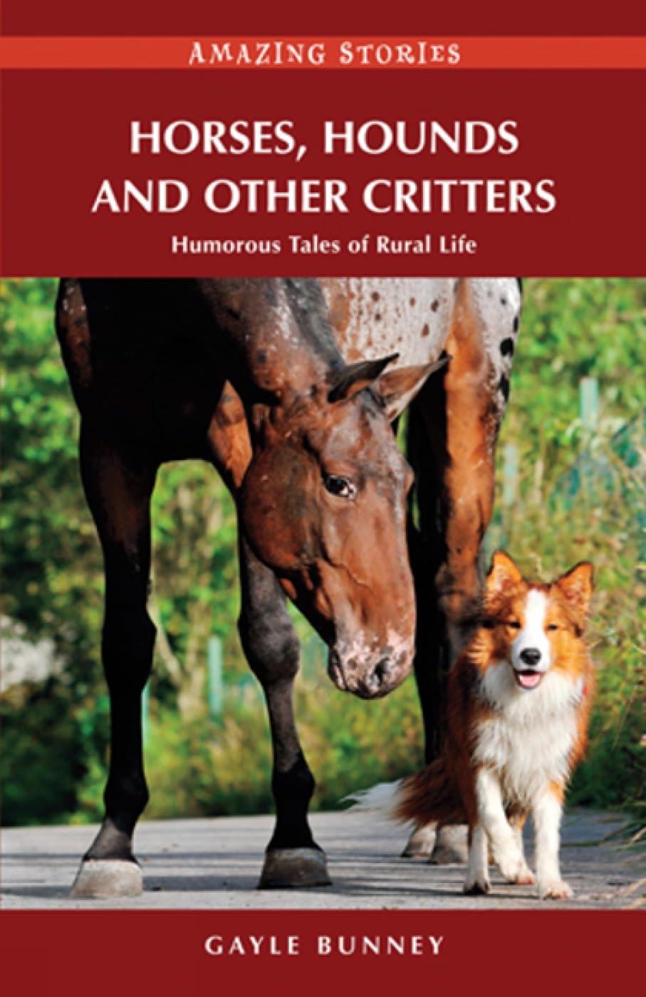 Horses, Hounds and Other Critters: Humorous Tales of Rural Life (Amazing Stories) Mathematics