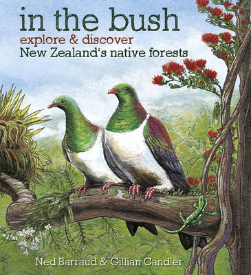 In the Bush: Explore & Discover New Zealand's Native Forests Non-fiction