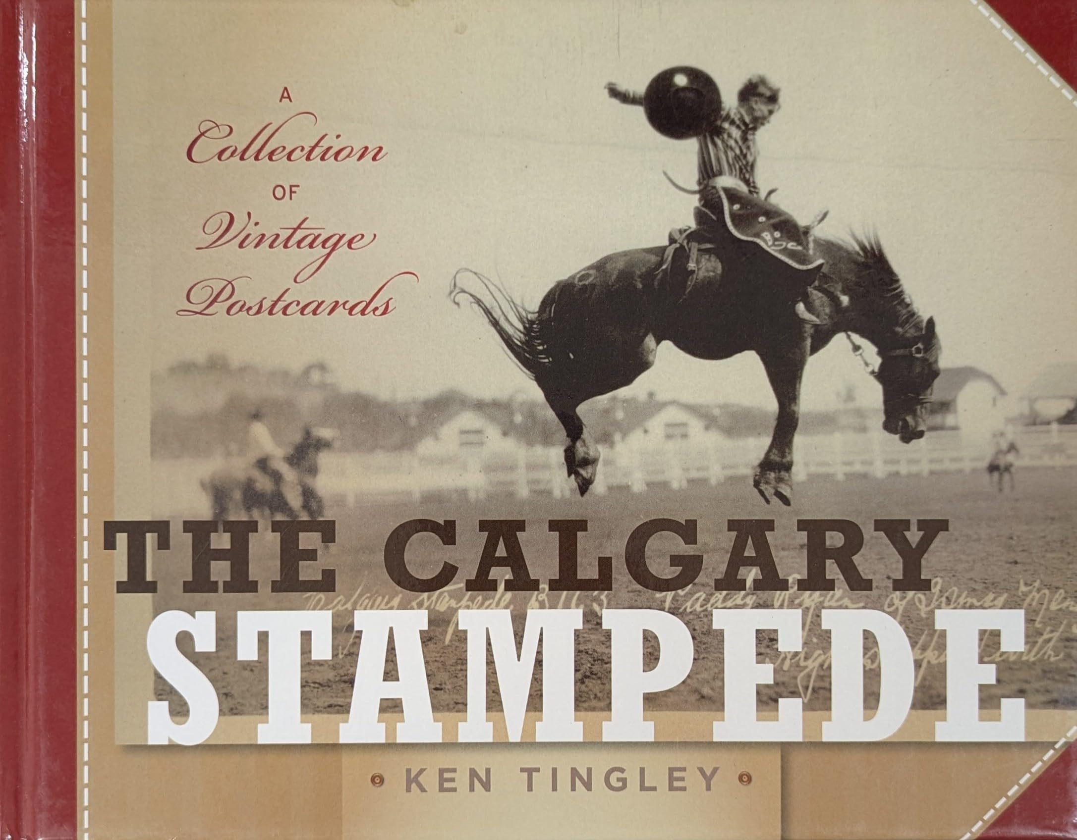 The Calgary Stampede: A Collection of Vintage Postcards book