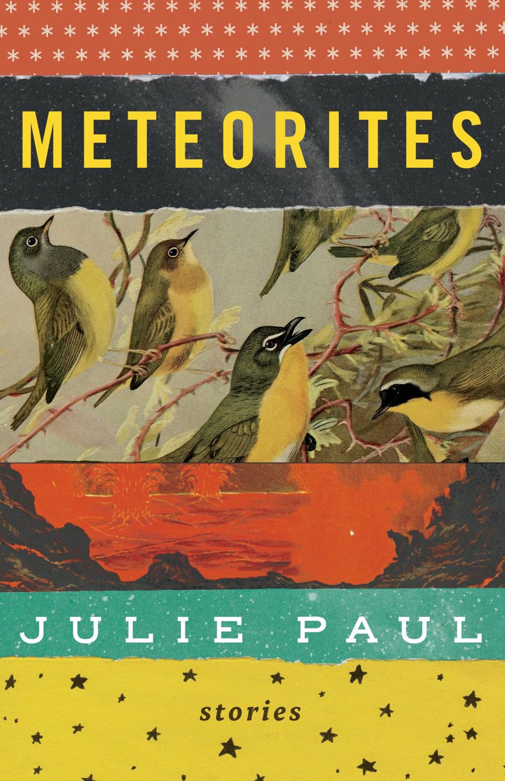 Meteorites Essays & Short Stories