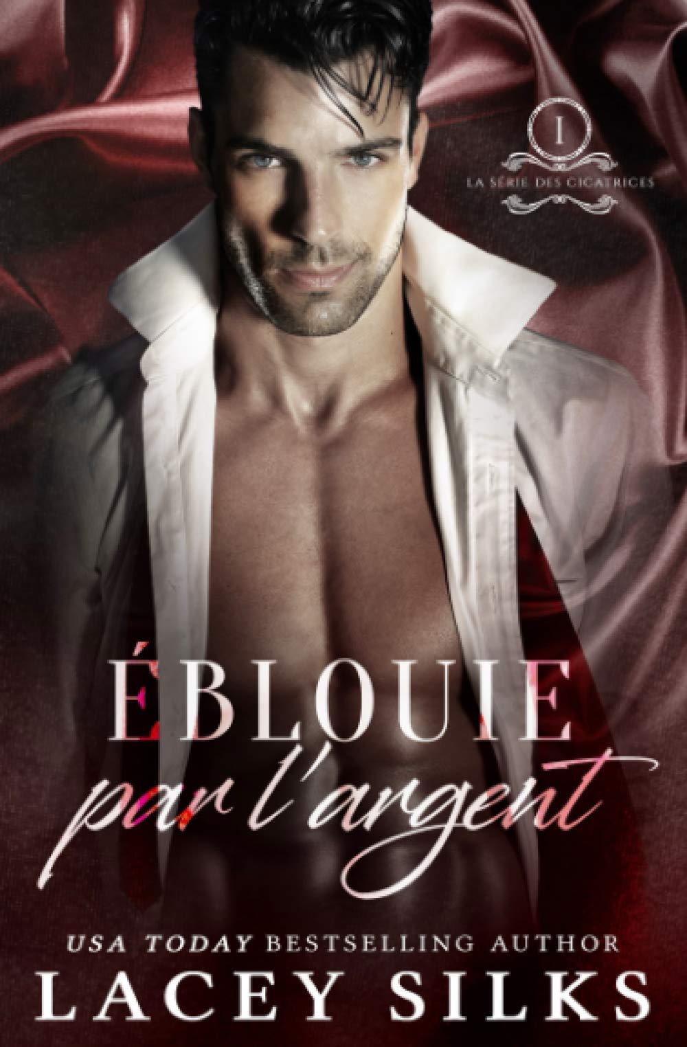 Éblouie par l'Argent: Introduction à la série des Cicatrices book