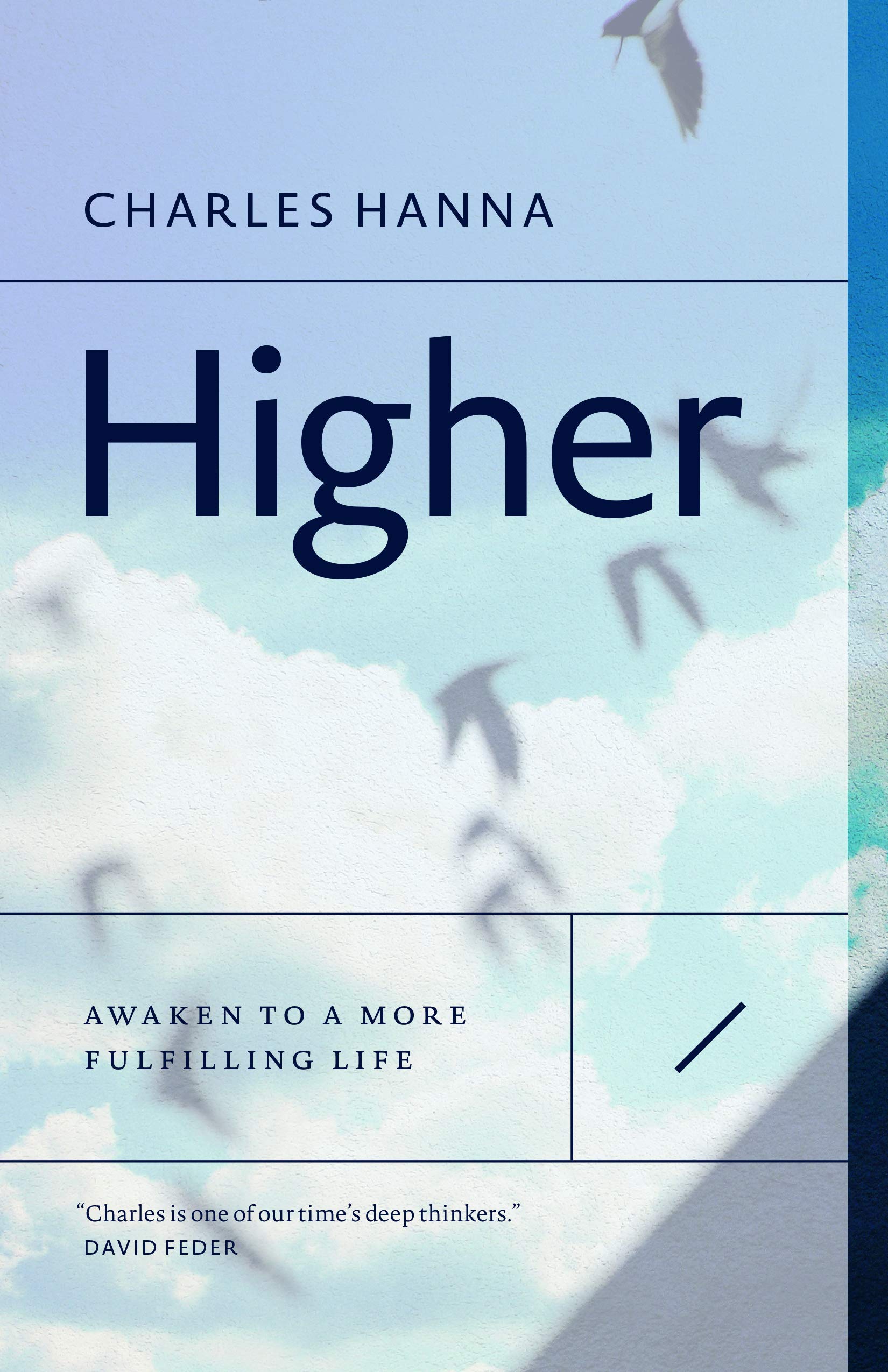 Higher: Awaken to a More Fulfilling Life book