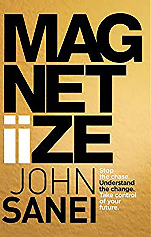 Magnitiize: Stop the Chase. Understand the Change. Take Control of Your Future. book