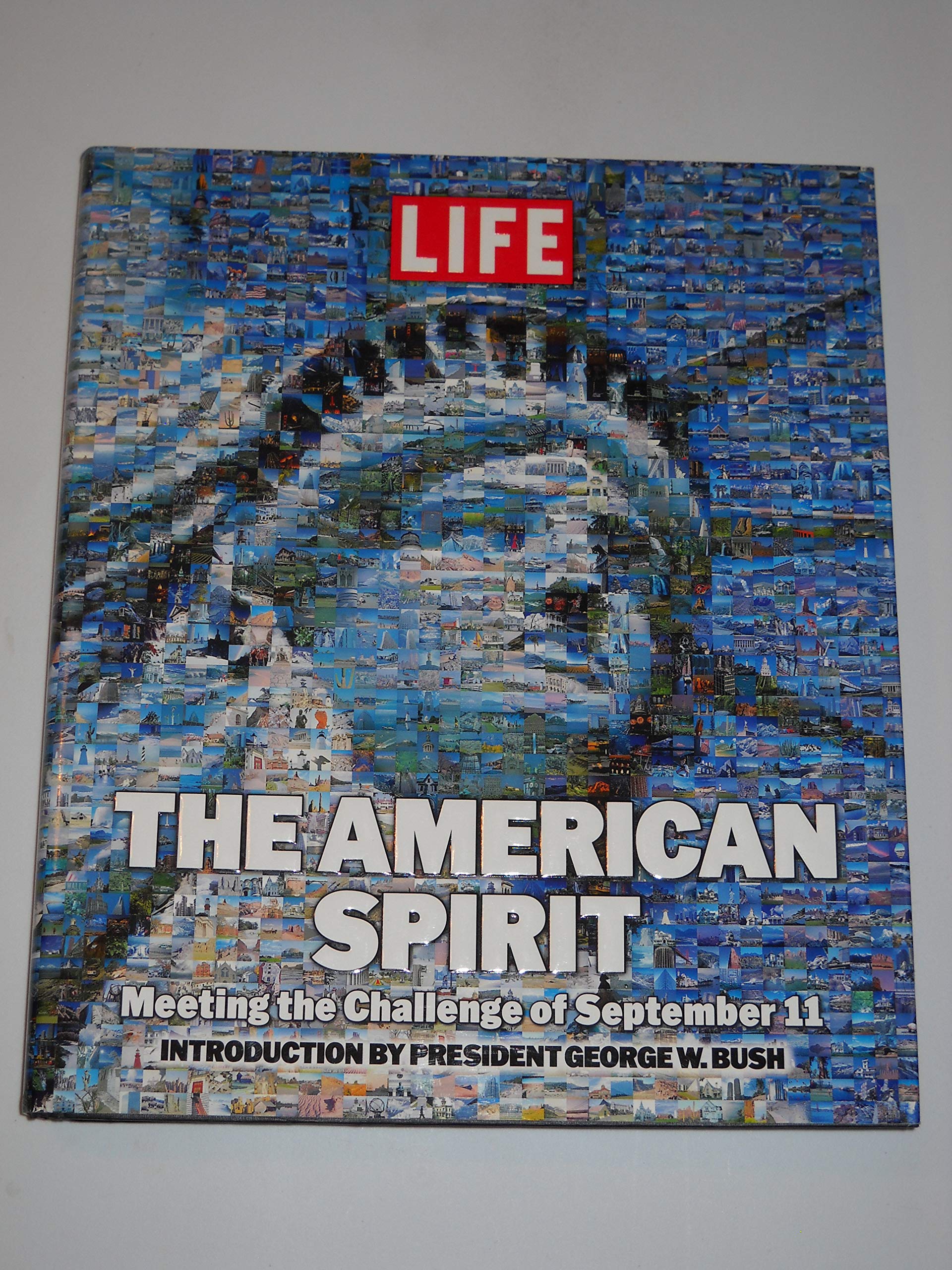 Life: The American Spirit: Meeting the Challenge of September 11 Travel Books