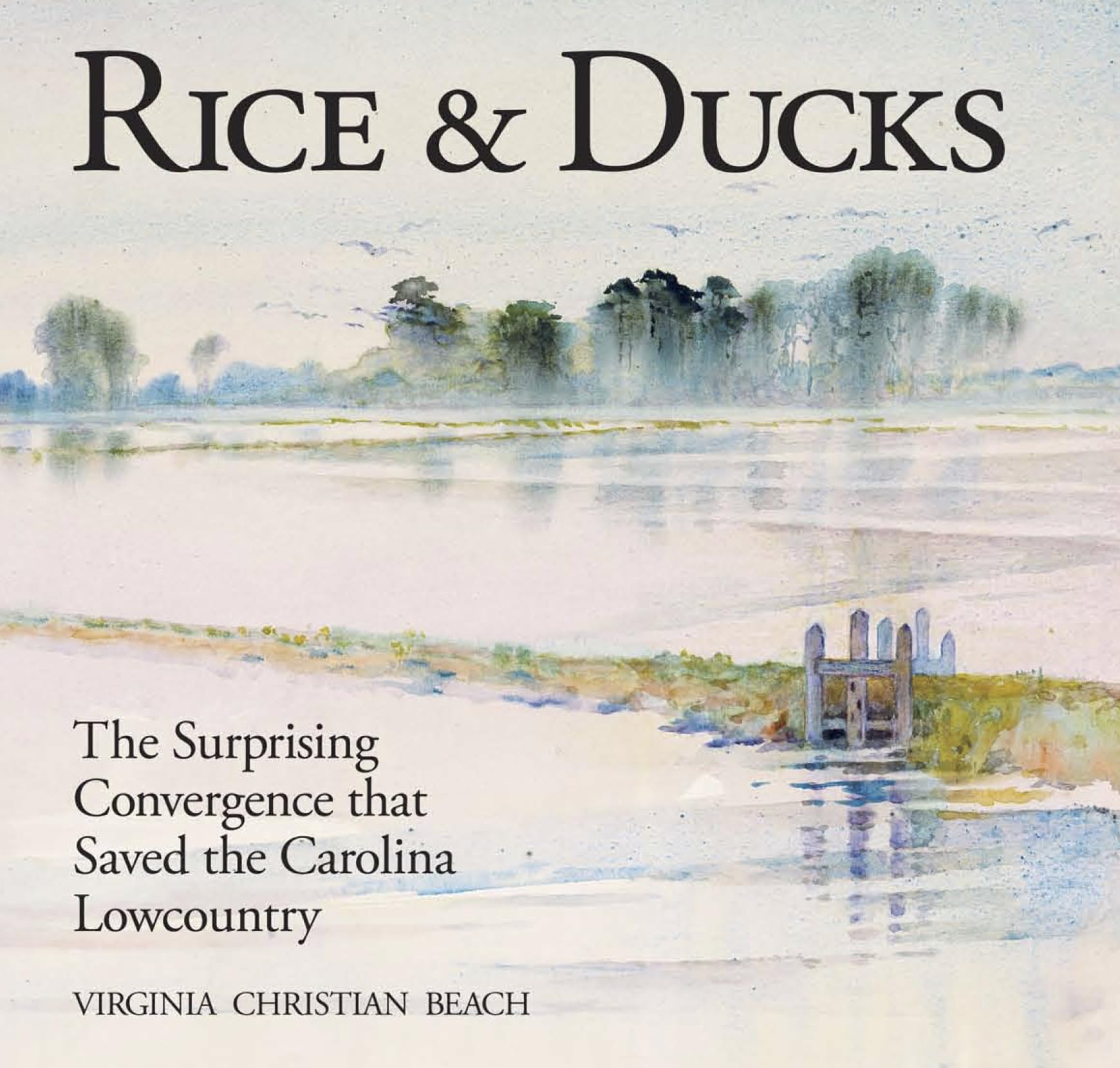 Rice & Ducks: The Surprising Convergence That Saved the Carolina Lowcountry Business, Finance & Career