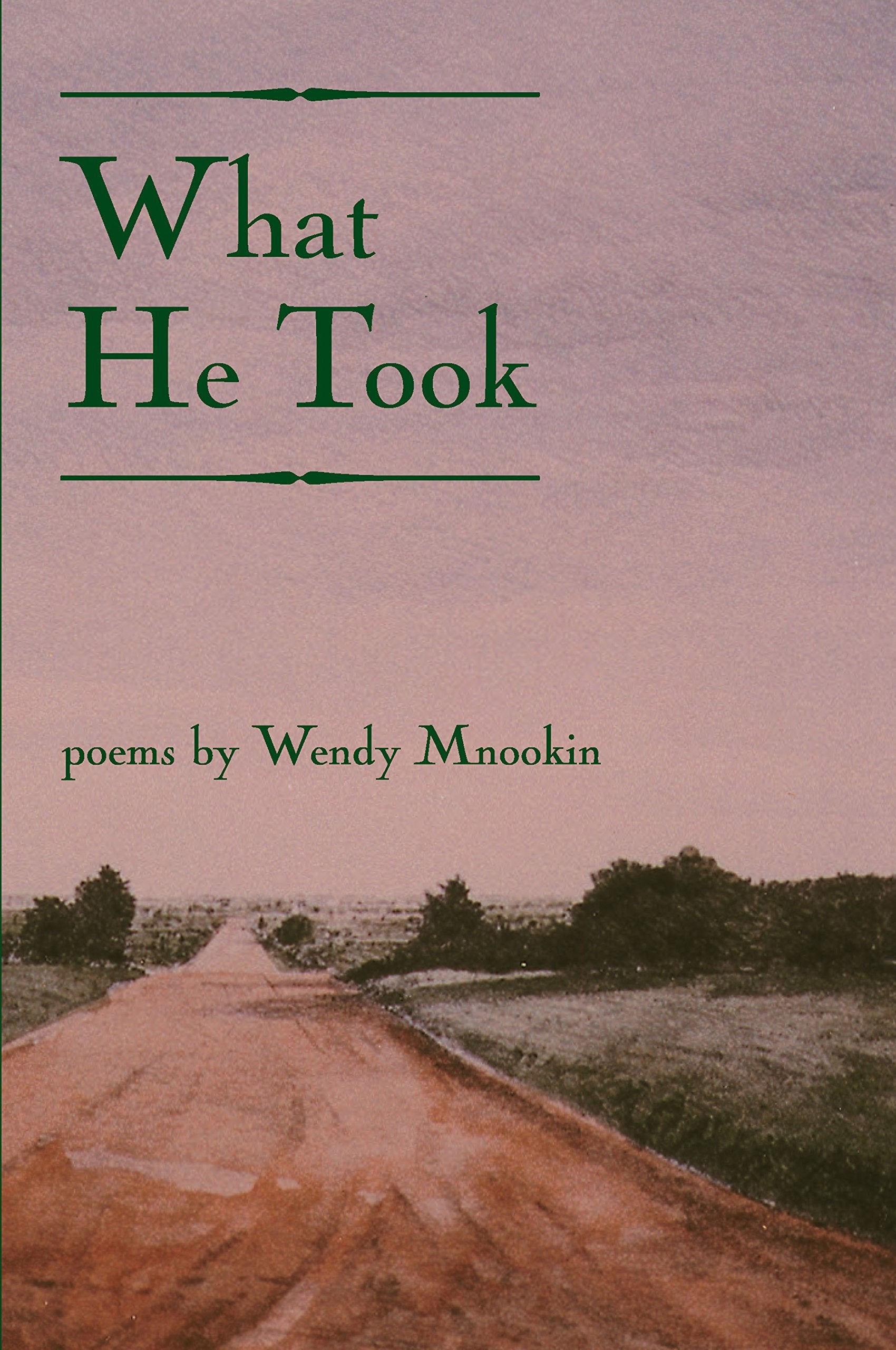 What He Took (American Poets Continuum, 71) Poetry