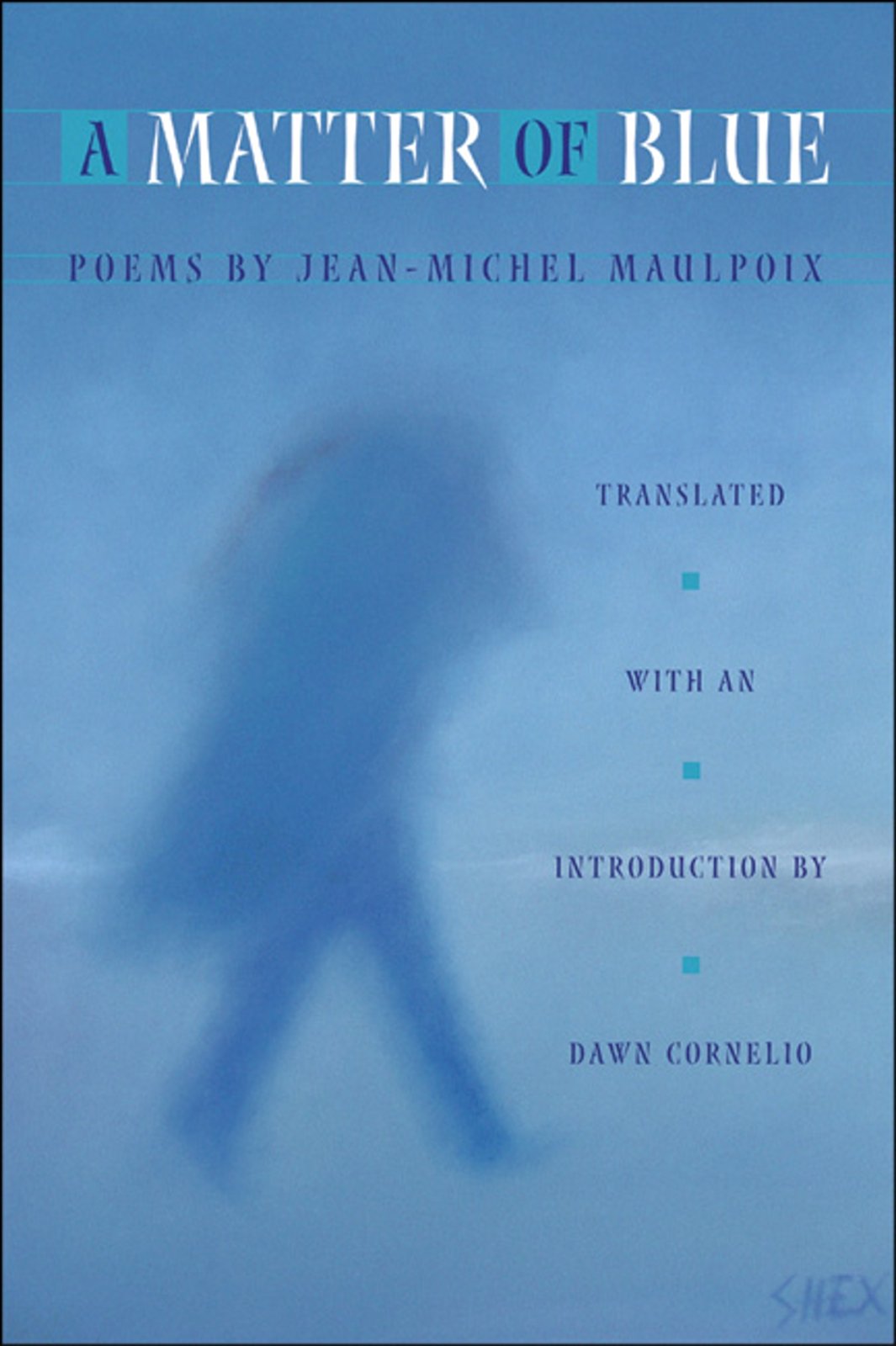 A Matter Of Blue/Une historire de bleu book