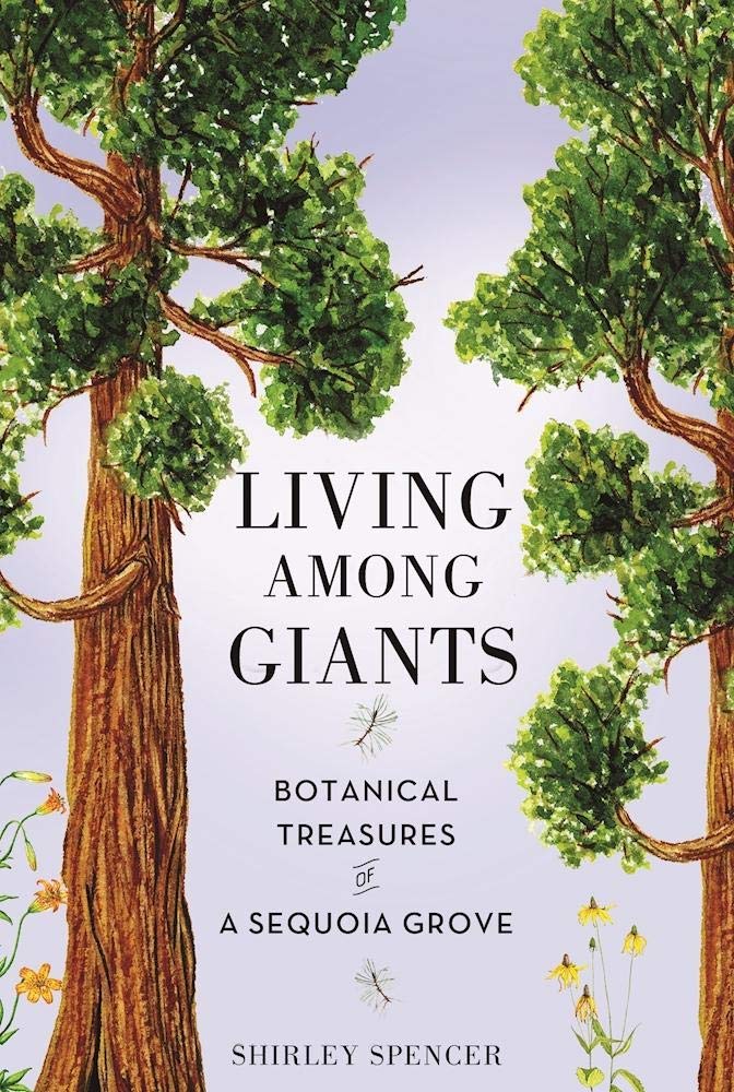 Living Among Giants: Botanical Treasures of a Sequoia Grove Mathematics