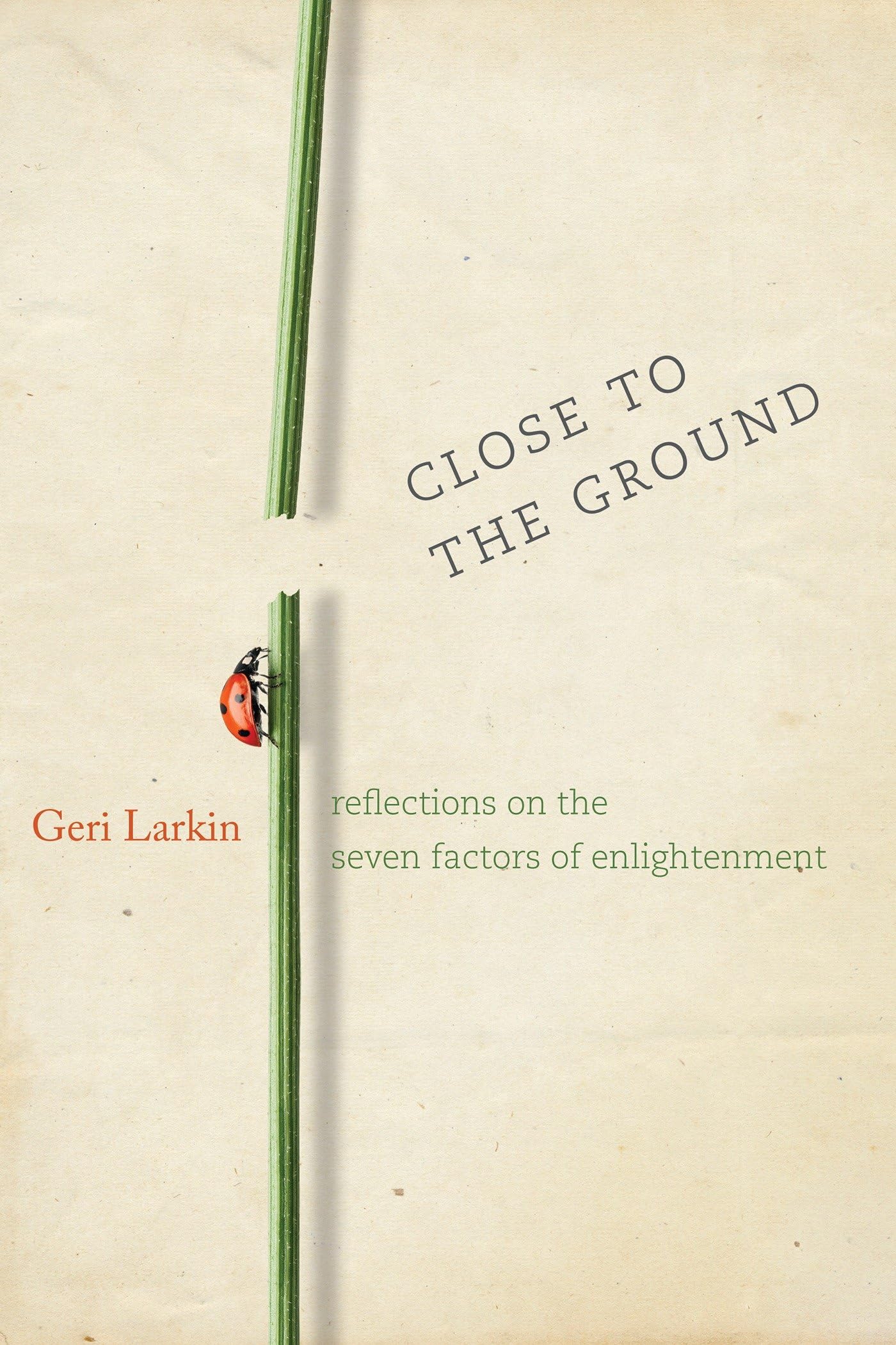 Close to the Ground: Reflections on the Seven Factors of Enlightenment Business, Finance & Career