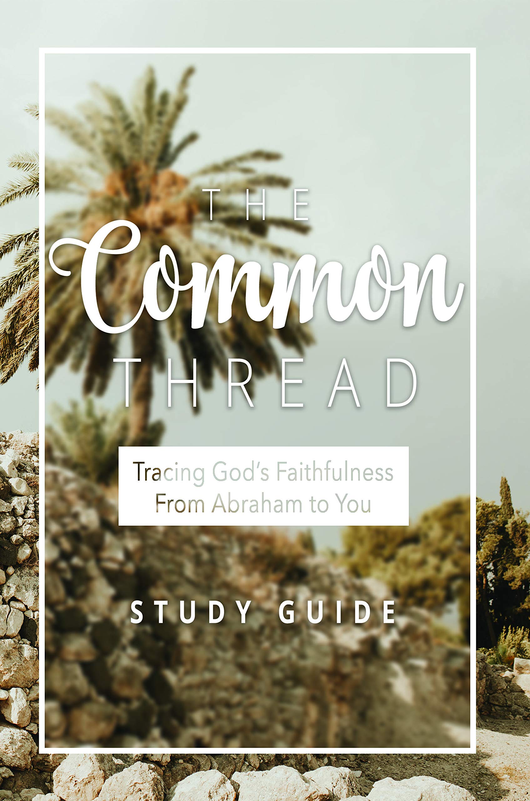 The Common Thread: Tracing God's Faithfulness from Abraham to You Religion & Esotericism