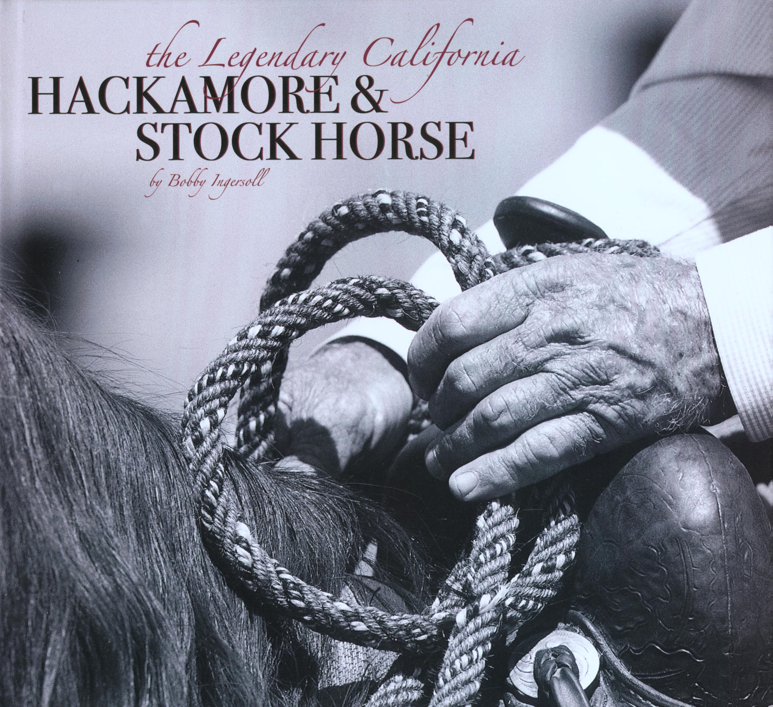 The Legendary California Hackamore & Stock Horse Nature & Animals